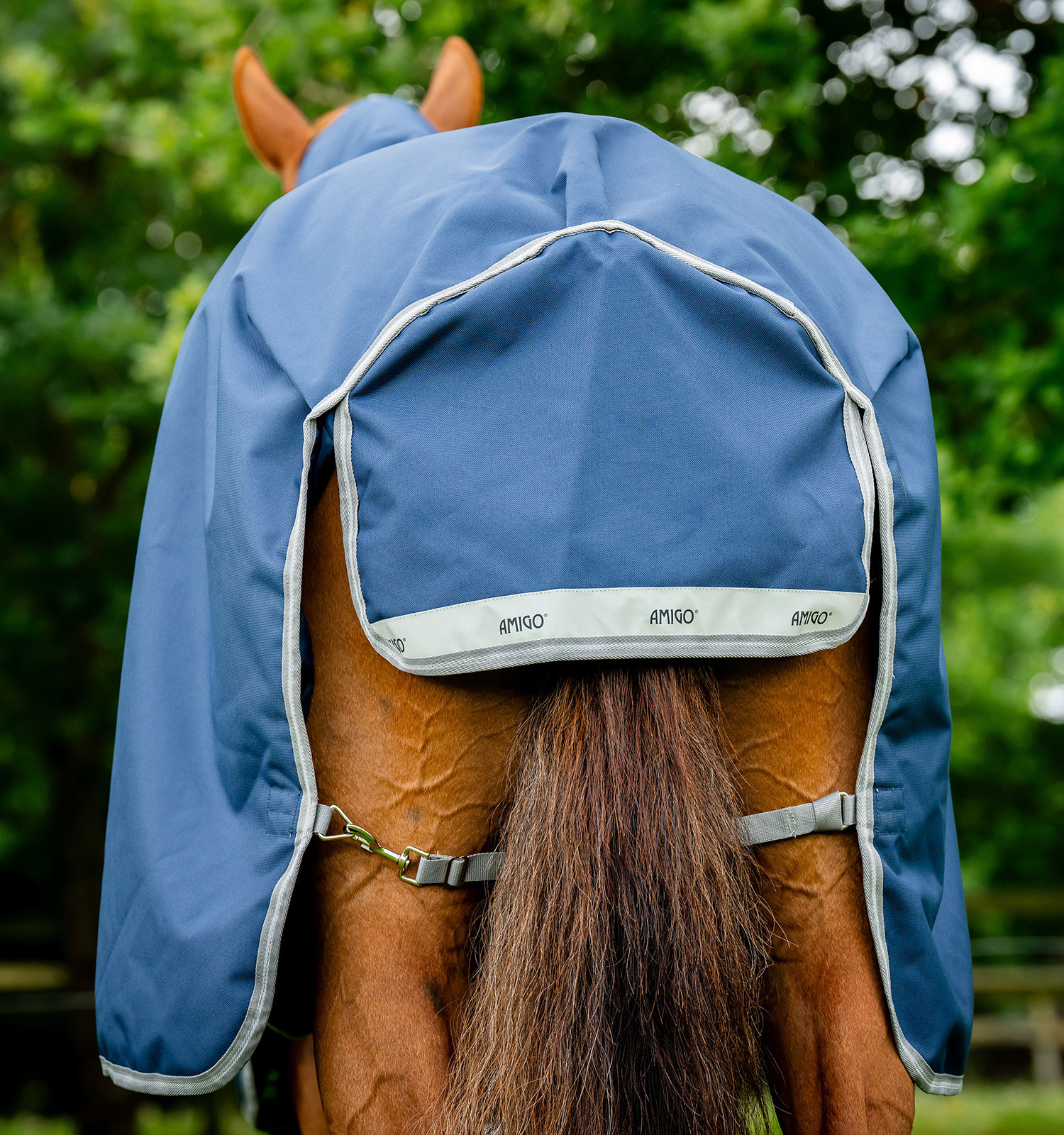 Capa Horseware Amigo® Bravo 12 Plus 400g 1200D Marinho / cinza titânio / prata Azul-marinho Capa Horseware Amigo® Bravo 12 Plus 400g 1200D Marinho / cinza titânio / prata Azul-marinho