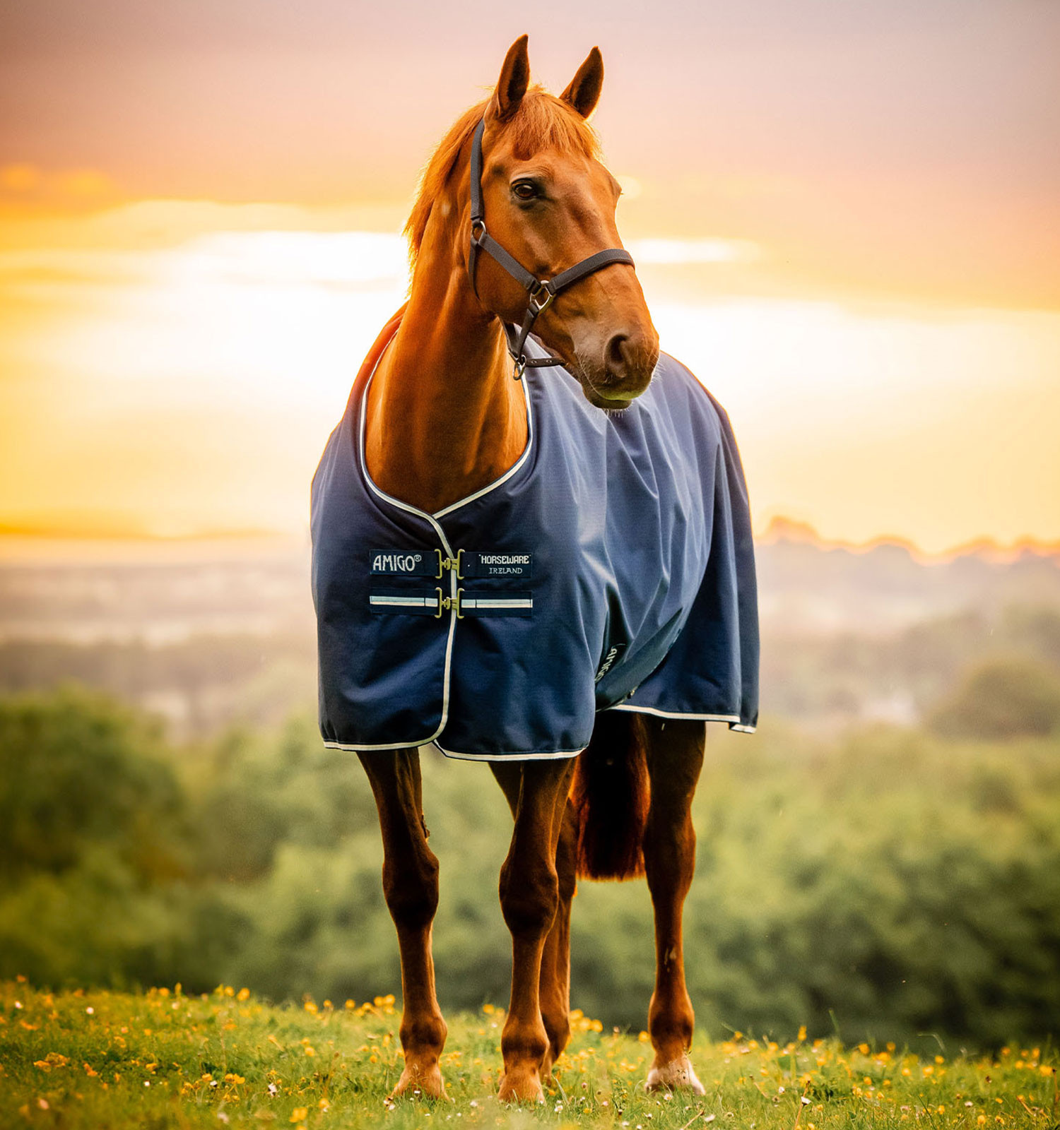 Capa Horseware Amigo Ripstop 900D Pônei Turnout 50g Marine witney Azul-marinho
