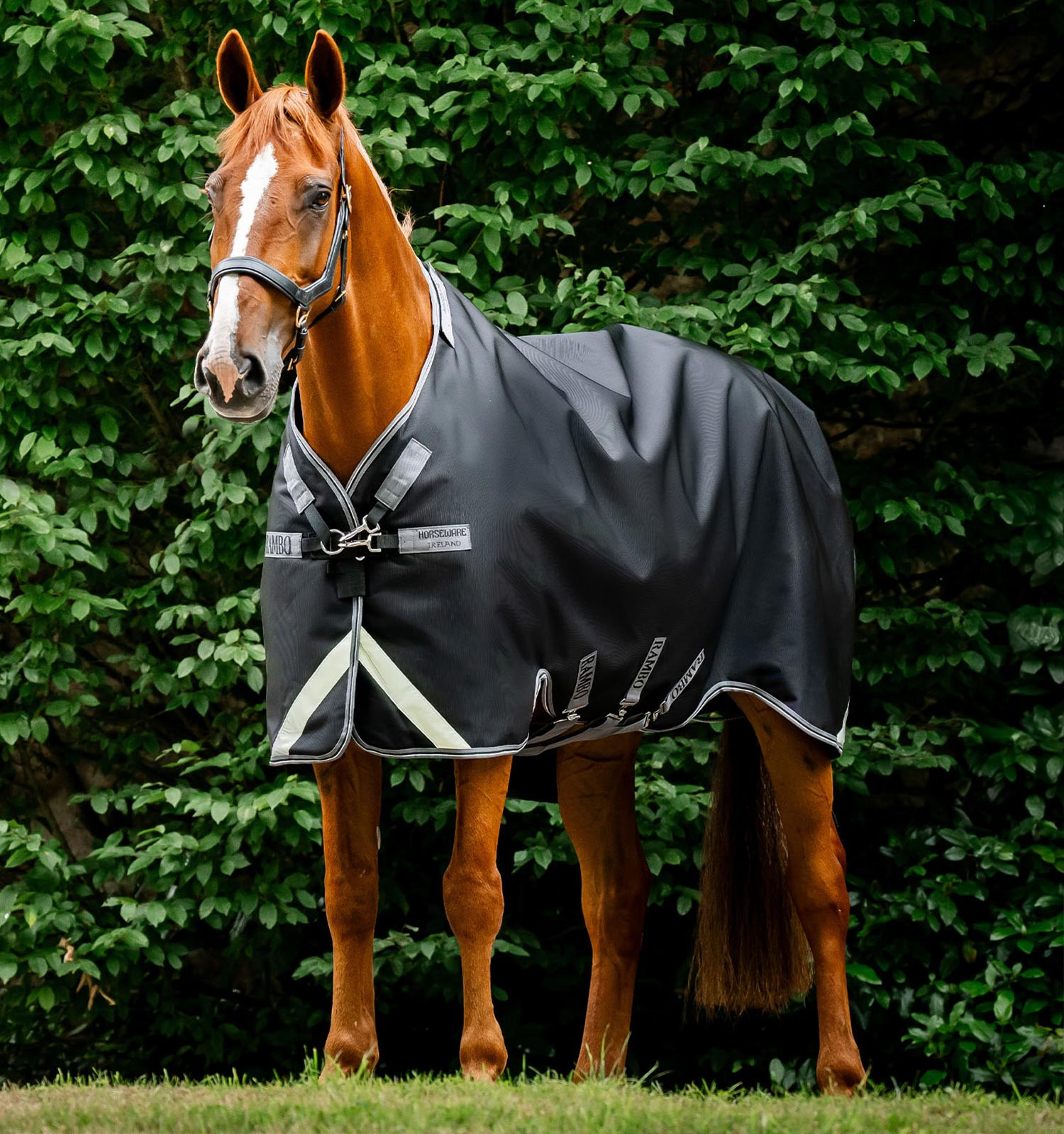 Capa Horseware Rambo 1680D Turnout 50g Preto / tempestade / cinza prateado