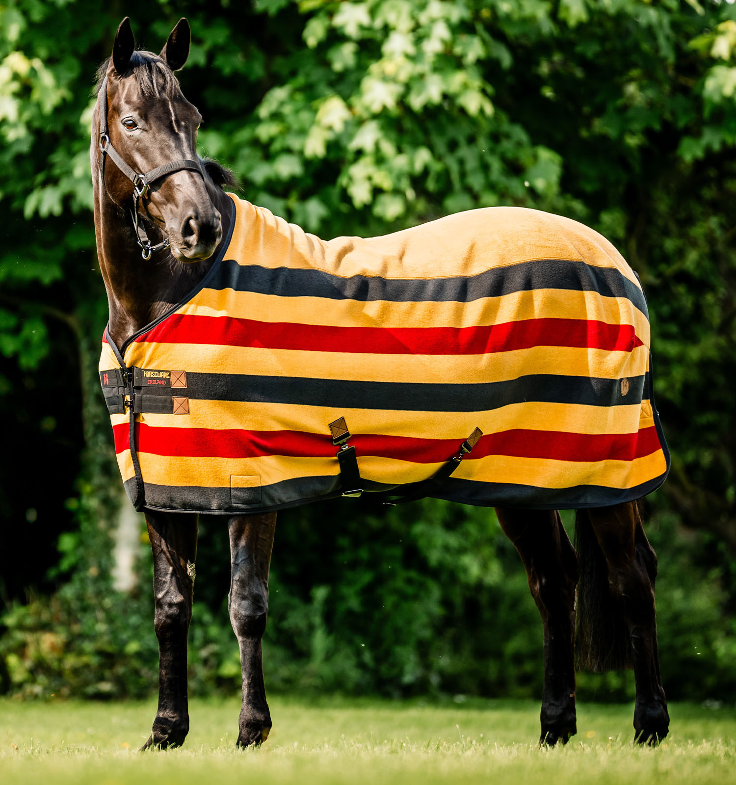 Manta polar Horseware Newmarket Fleece Cooler Ouro branco