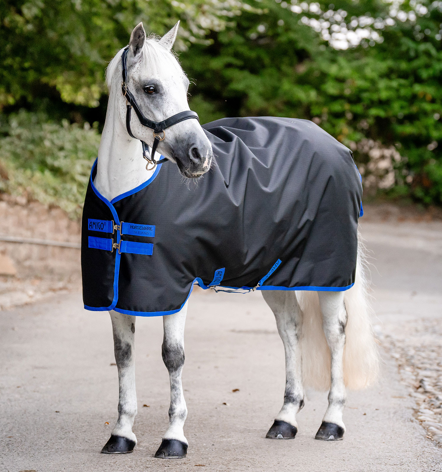 Capa Horseware Amigo Ripstop 900D Pônei Turnout 0g Preto / azul clássico Capa Horseware Amigo Ripstop 900D Pônei Turnout 0g Preto / azul clássico