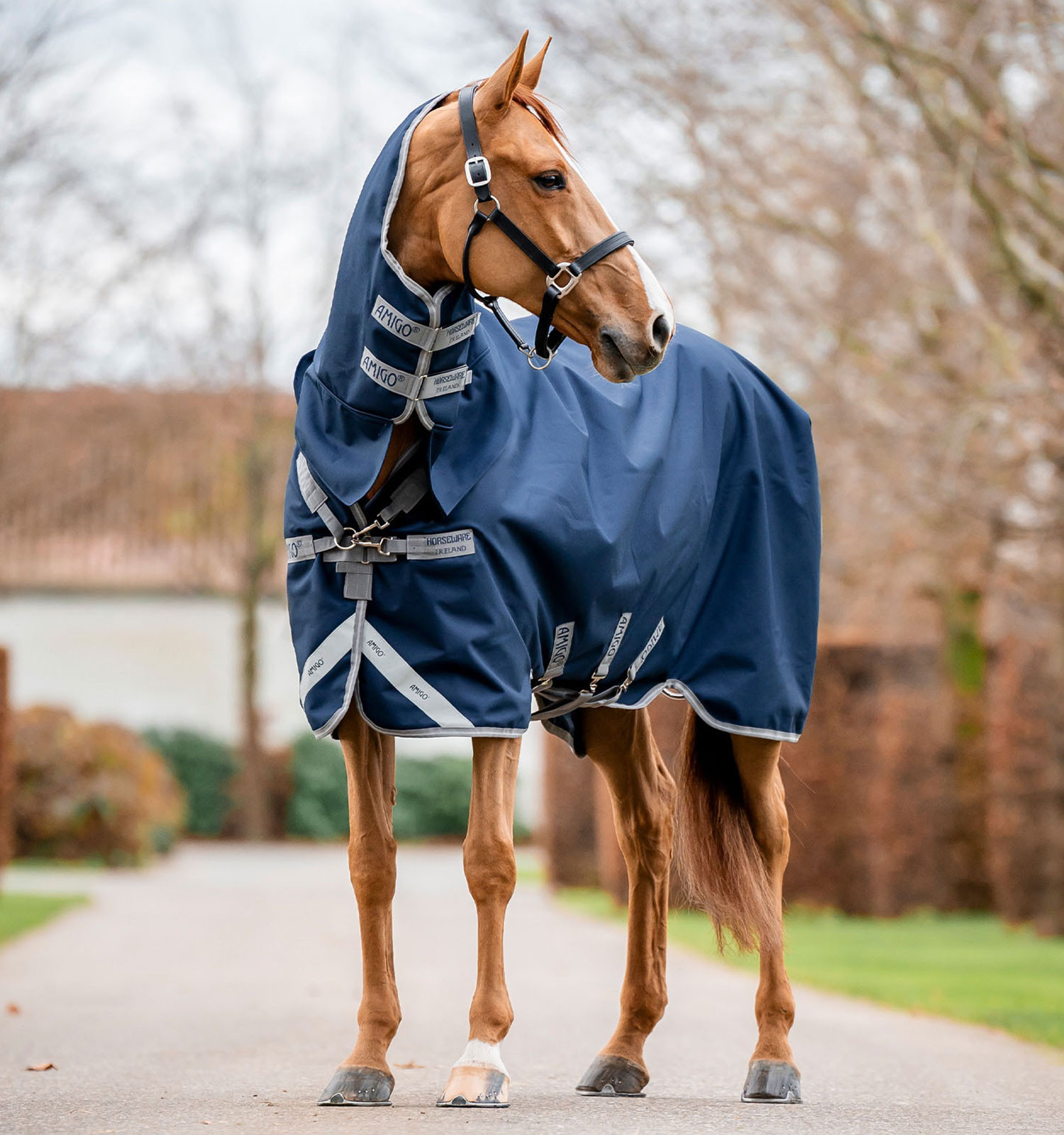 Capa Horseware Amigo 1200D Integrated Turnout 50g Marinho / cinza titânio / prata