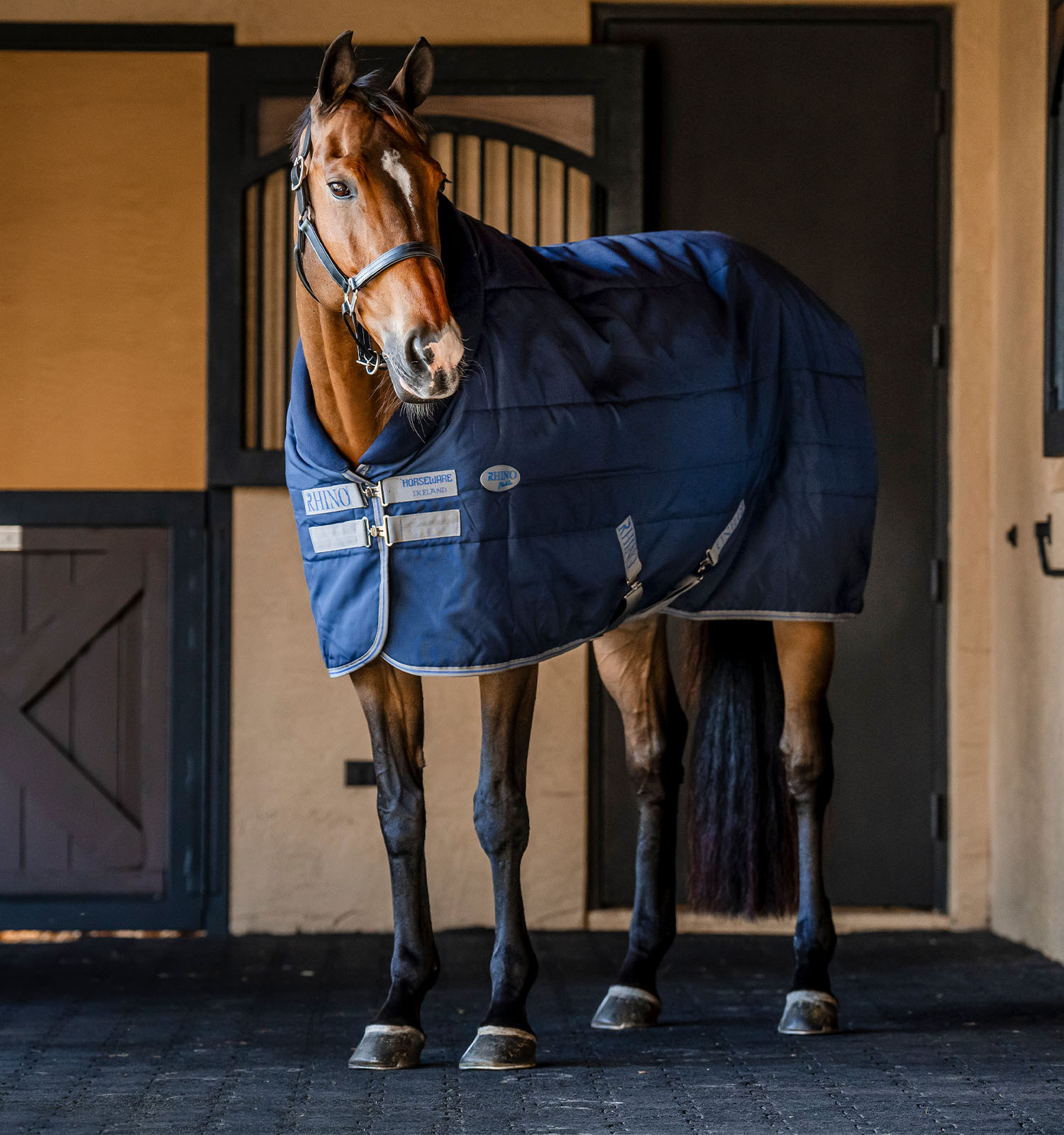 Cobertura de estábulo Horseware Rhino 100g Preto / cinza titânio / azul clássico