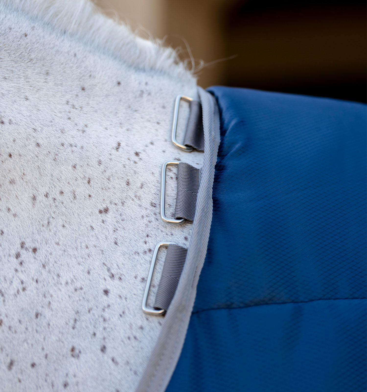 Cobertura de estábulo Horseware Amigo Ripstop Insulator Pônei 100g Marinho / cinza titânio Azul-marinho