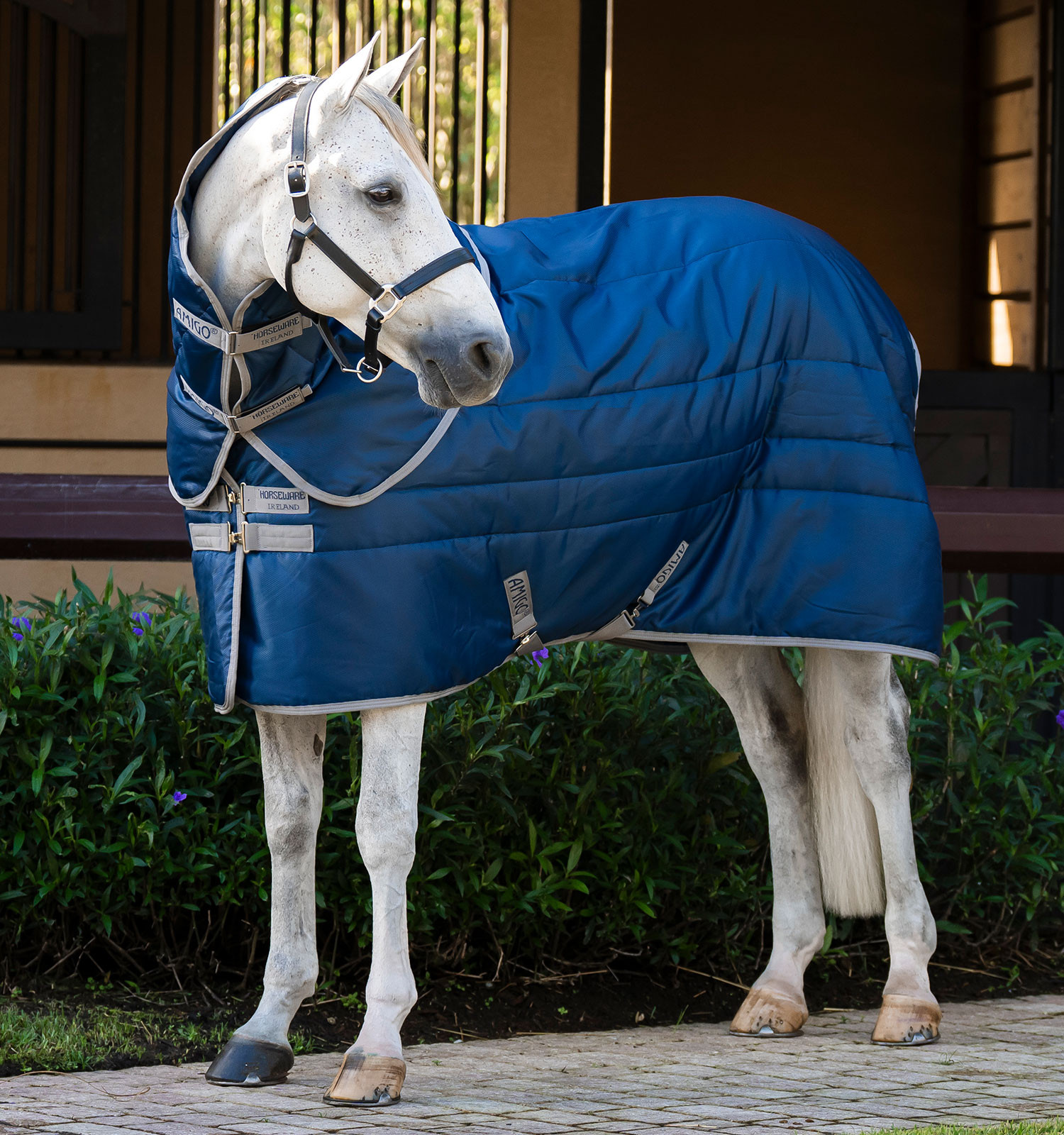 Cobertura de estábulo Horseware Amigo Ripstop Insulator Plus 200g Preto / preto / prata