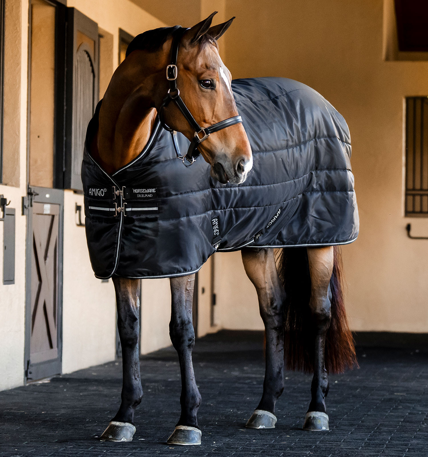 Cobertura de estábulo Horseware Amigo Ripstop Insulator 50g Preto / preto / prata