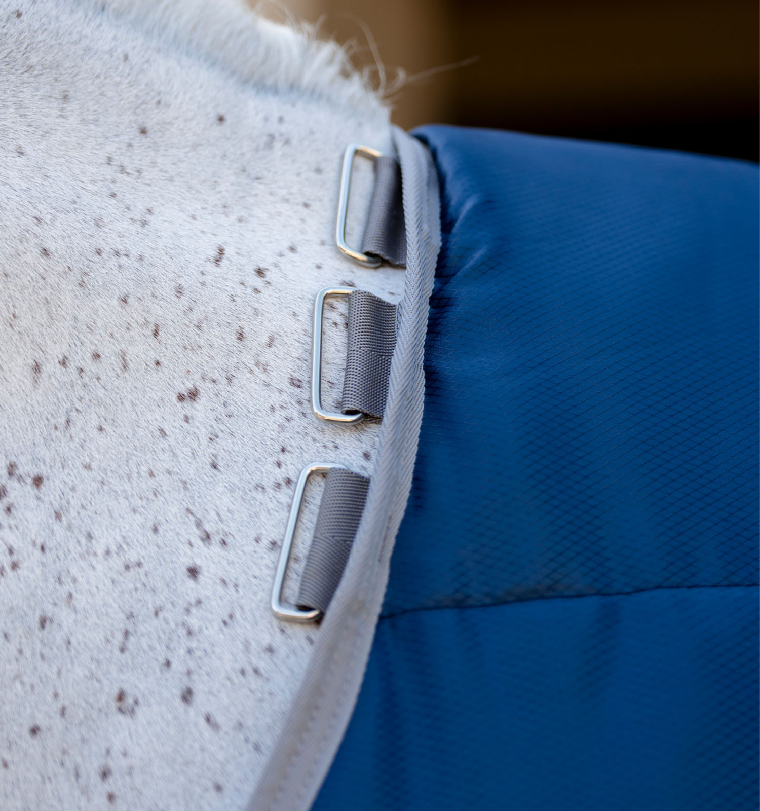 Cobertura de estábulo Horseware Amigo Ripstop Insulator 50g Preto / preto / prata Cobertura de estábulo Horseware Amigo Ripstop Insulator 50g Preto / preto / prata
