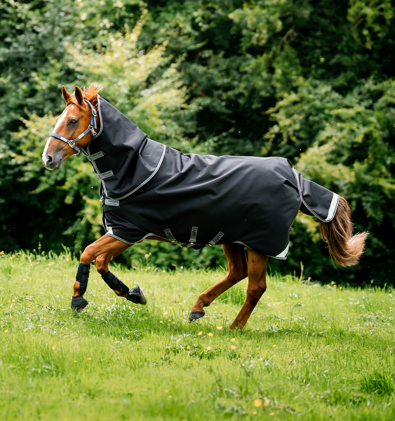 Cobertura Horseware Rambo Supreme Turnout Vari-layer 1680D 450g Preto / tempestade / cinza prateado