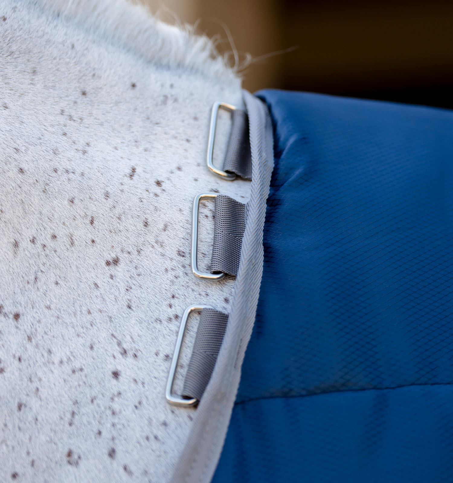 Cobertura de estábulo Horseware Amigo Ripstop Insulator Plus Pônei 200g Marinho / cinza titânio Azul-marinho