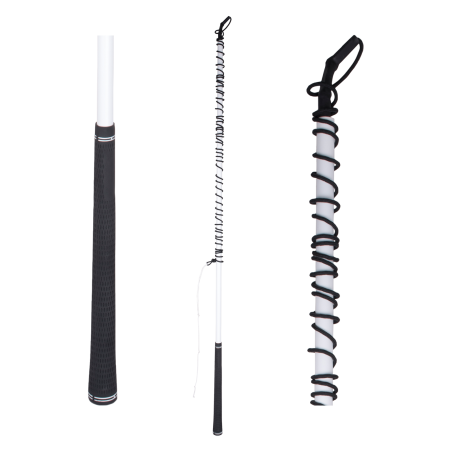 Chambrière Waldhausen volteio