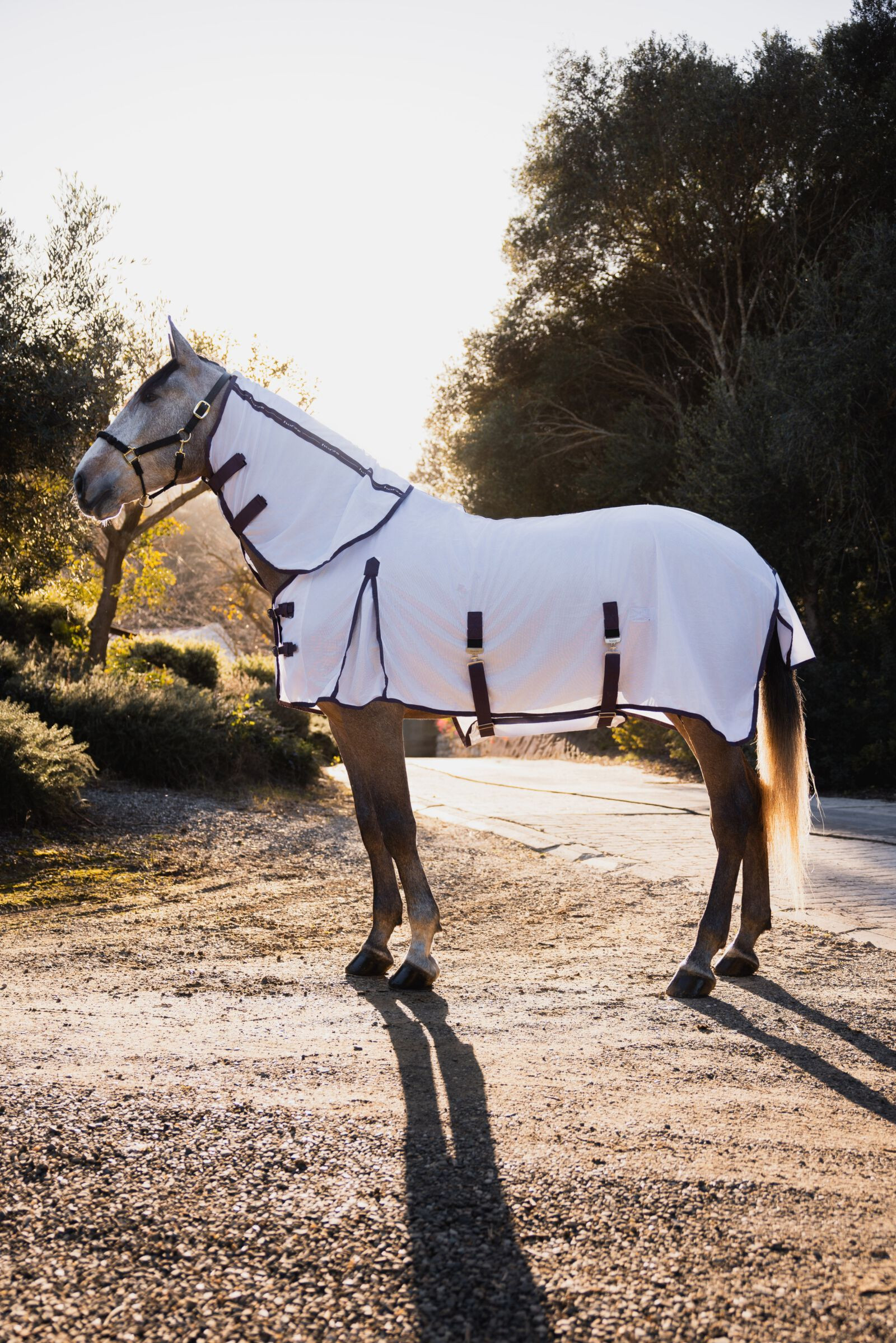 Cobertura, pescoço e máscara anti-moscas Horze La Paz Ameixa preta Violeta