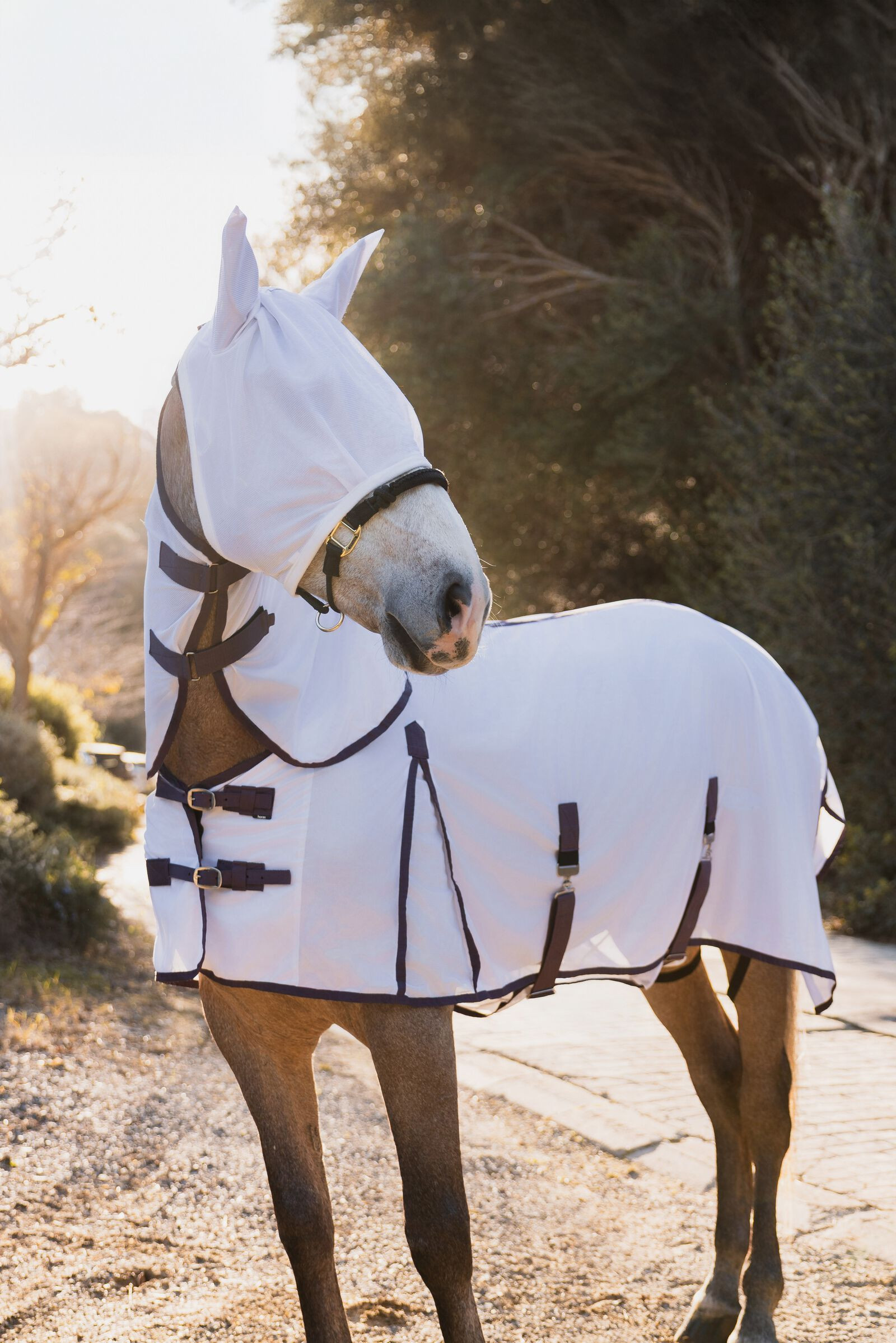 Cobertura, pescoço e máscara anti-moscas Horze La Paz Ameixa preta Violeta