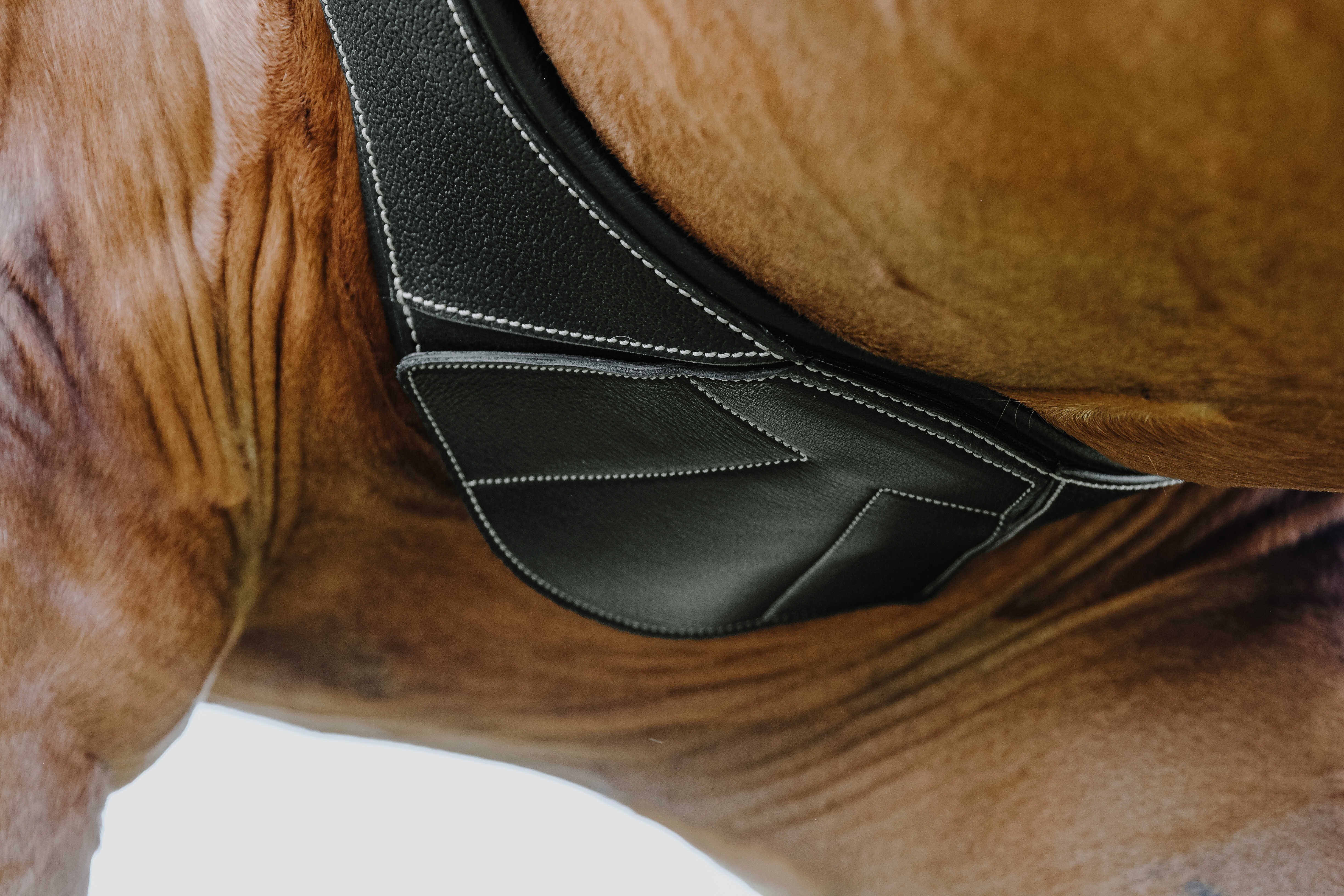 Cilha anatômica Magnet Norton Havana Castanho Cilha anatômica Magnet Norton Havana Castanho