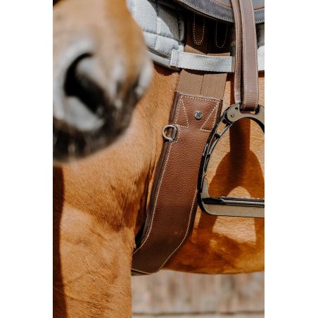 Cilha anatômica Magnet Norton