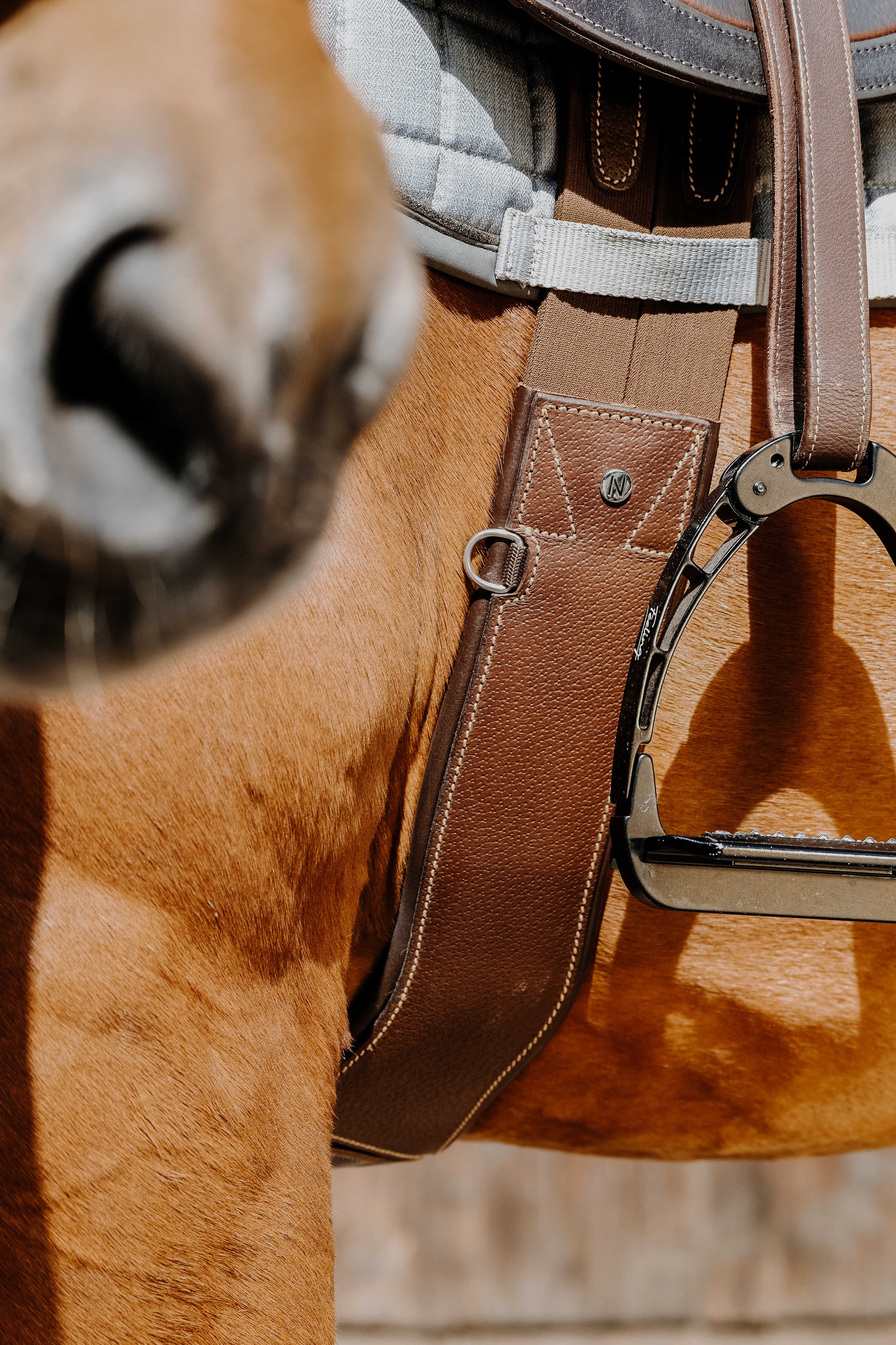 Cilha anatômica Magnet Norton Havana Castanho Cilha anatômica Magnet Norton Havana Castanho