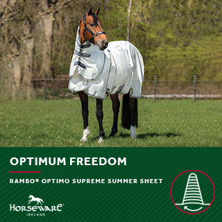 Capa anti-moscas Horseware Rambo Optimo Supreme Summer Sheet Plus CarreauxMarine / gris orage / argent Motivos