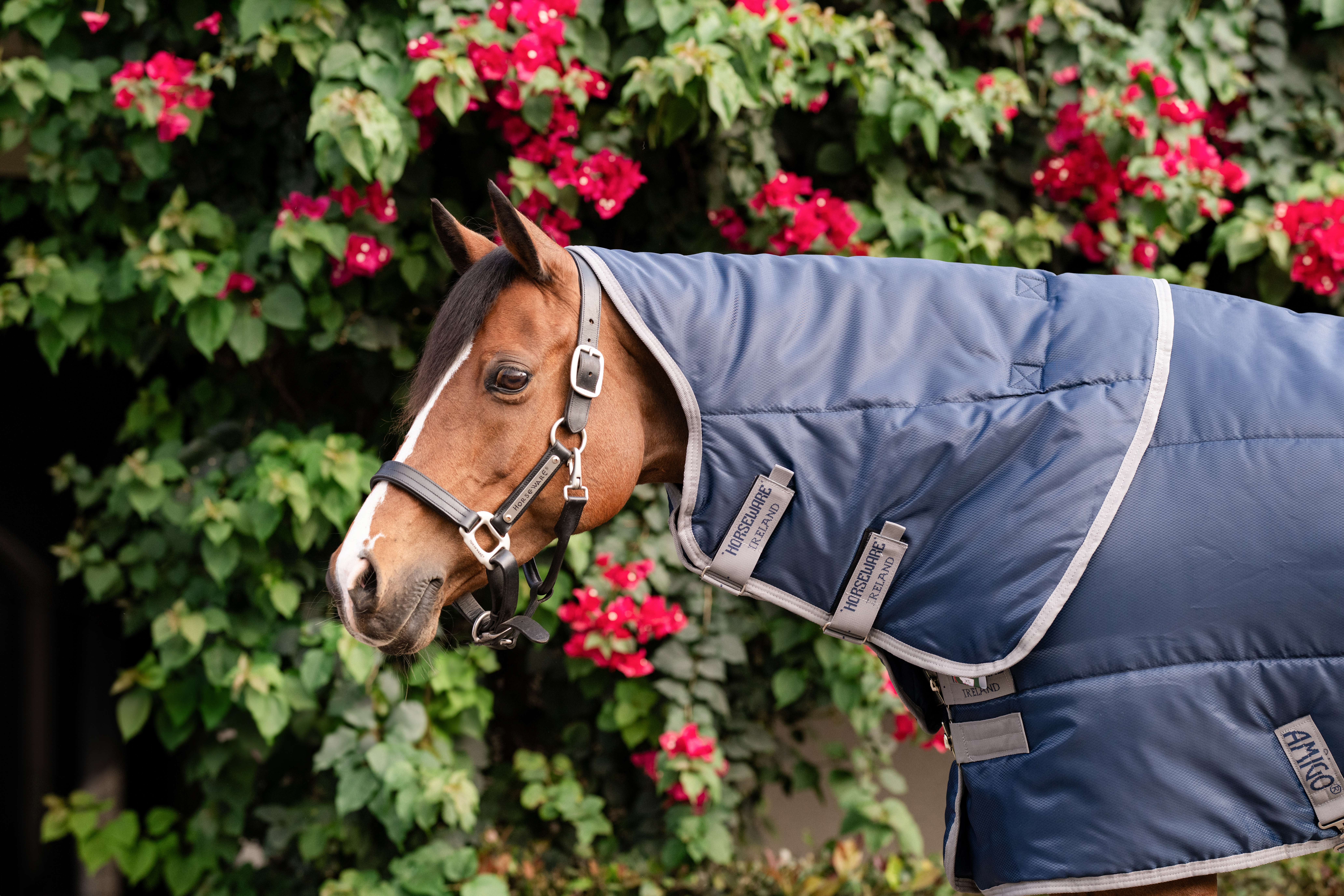 Cobertura de estábulo Horseware Amigo Ripstop Insulator Plus Pônei 200g Marinho / cinza titânio Azul-marinho