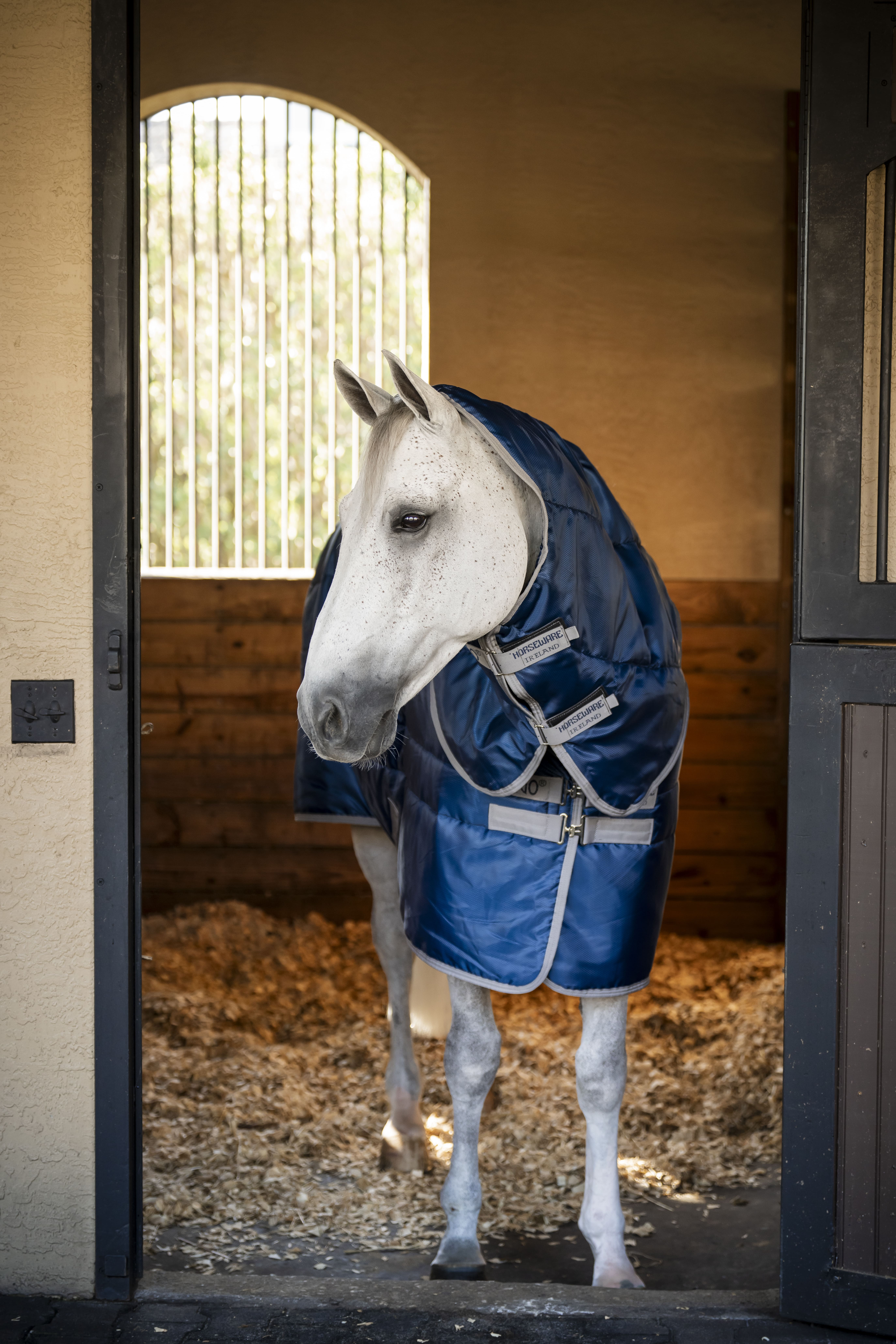 Cobertura de estábulo Horseware Amigo Ripstop Insulator Plus Pônei 200g Marinho / cinza titânio Azul-marinho