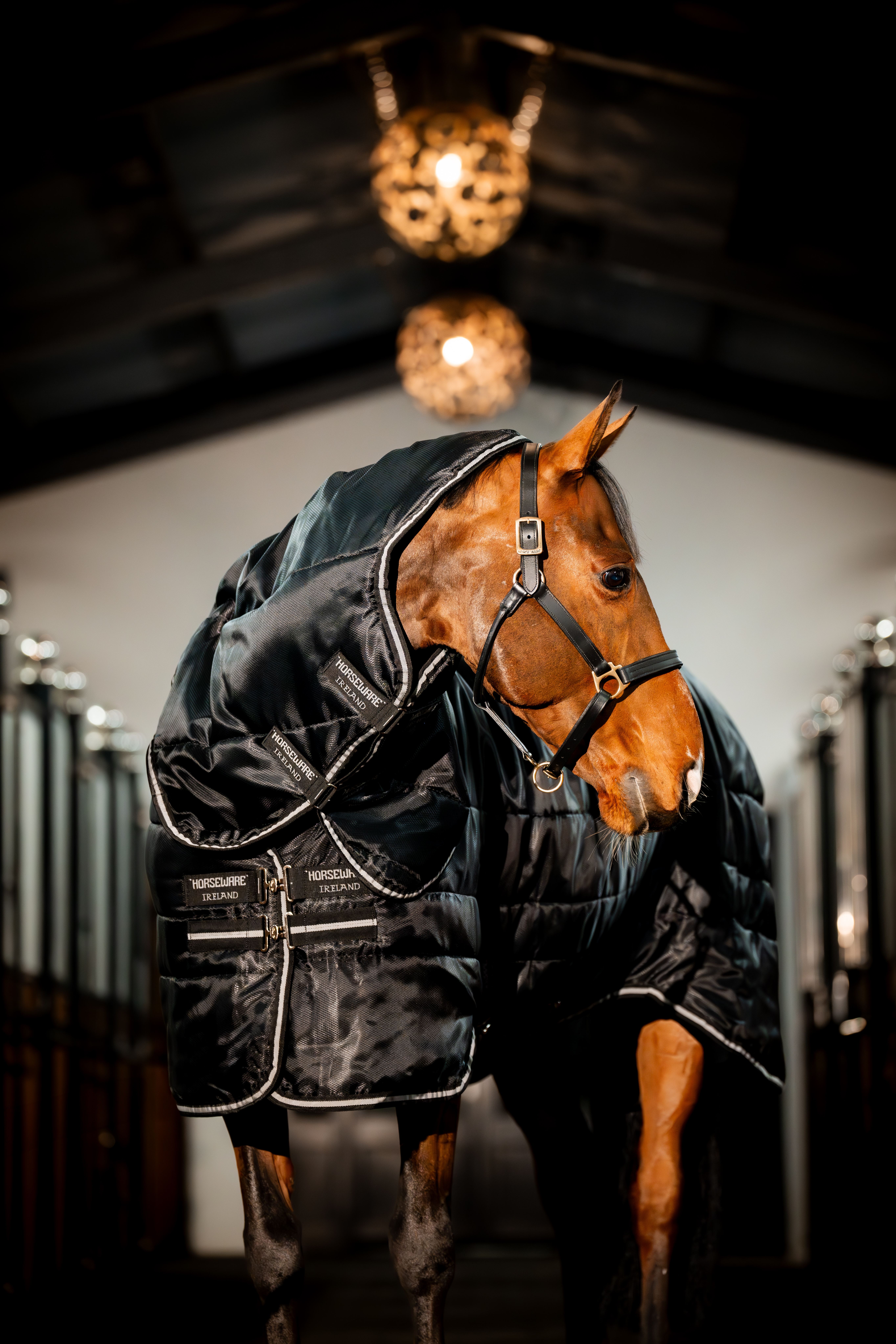 Cobertura de estábulo Horseware Easy-Layer Plus 400g Preto / preto / prata Cobertura de estábulo Horseware Easy-Layer Plus 400g Preto / preto / prata