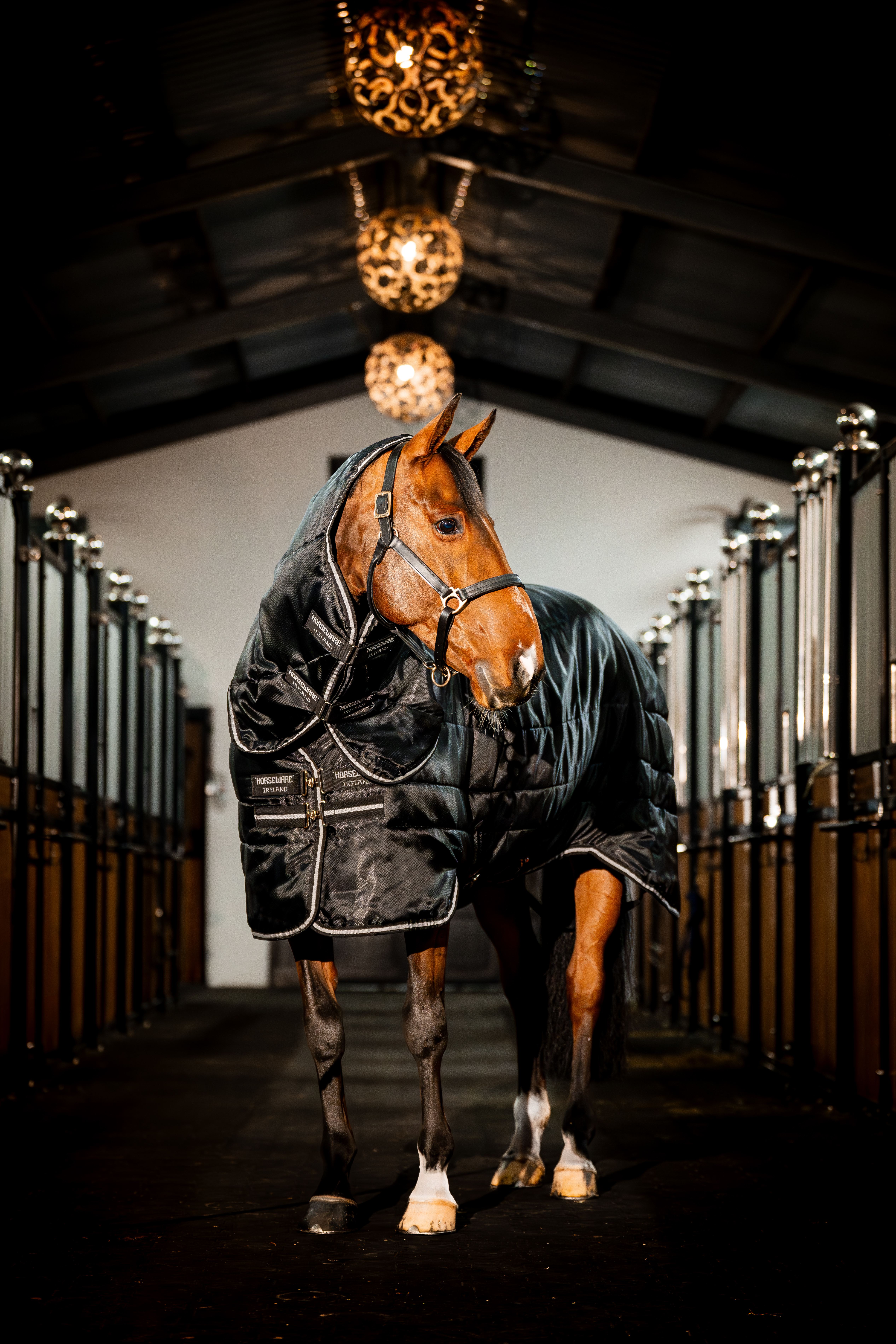 Cobertura de estábulo Horseware Easy-Layer Plus 400g Preto / preto / prata Cobertura de estábulo Horseware Easy-Layer Plus 400g Preto / preto / prata