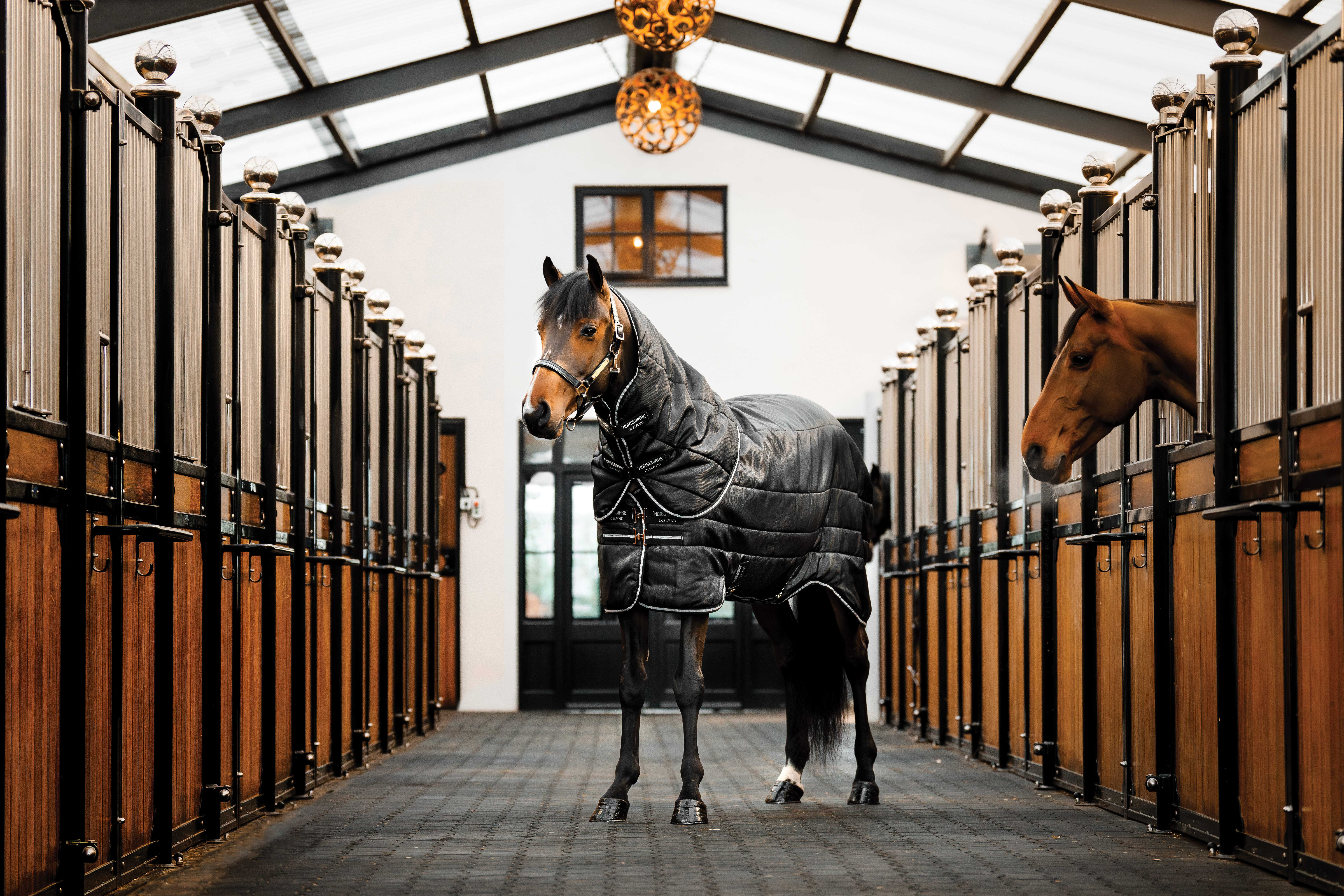 Cobertura de estábulo Horseware Easy-Layer Plus 400g Preto / preto / prata Cobertura de estábulo Horseware Easy-Layer Plus 400g Preto / preto / prata