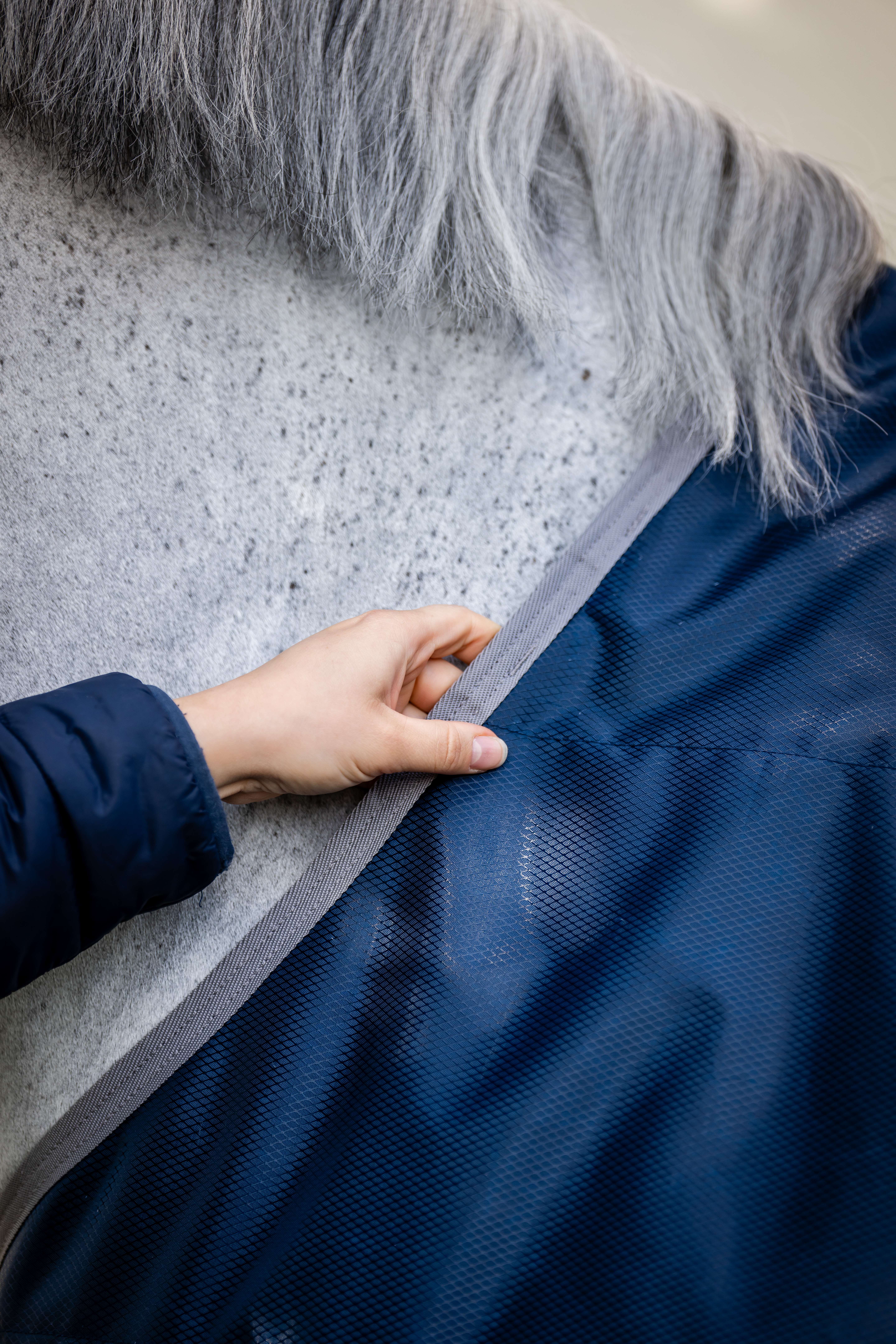 Cobertura de estábulo Horseware Ionic Therapy 50g Bleu imperial / argent /Marine Azul