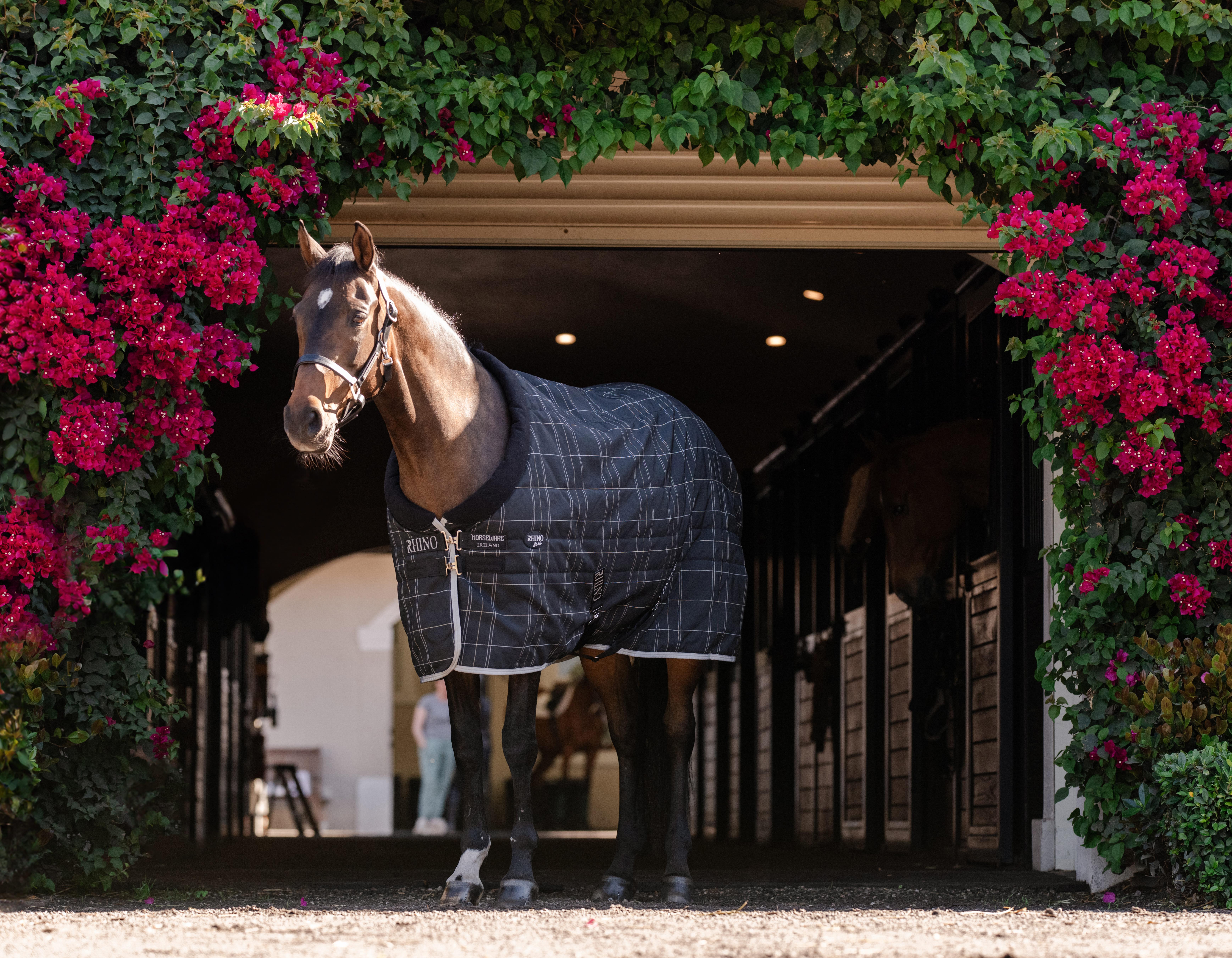 Cobertura de estábulo Horseware Rhino Pônei 250g VL Preto / xadrez branco cinza Cobertura de estábulo Horseware Rhino Pônei 250g VL Preto / xadrez branco cinza