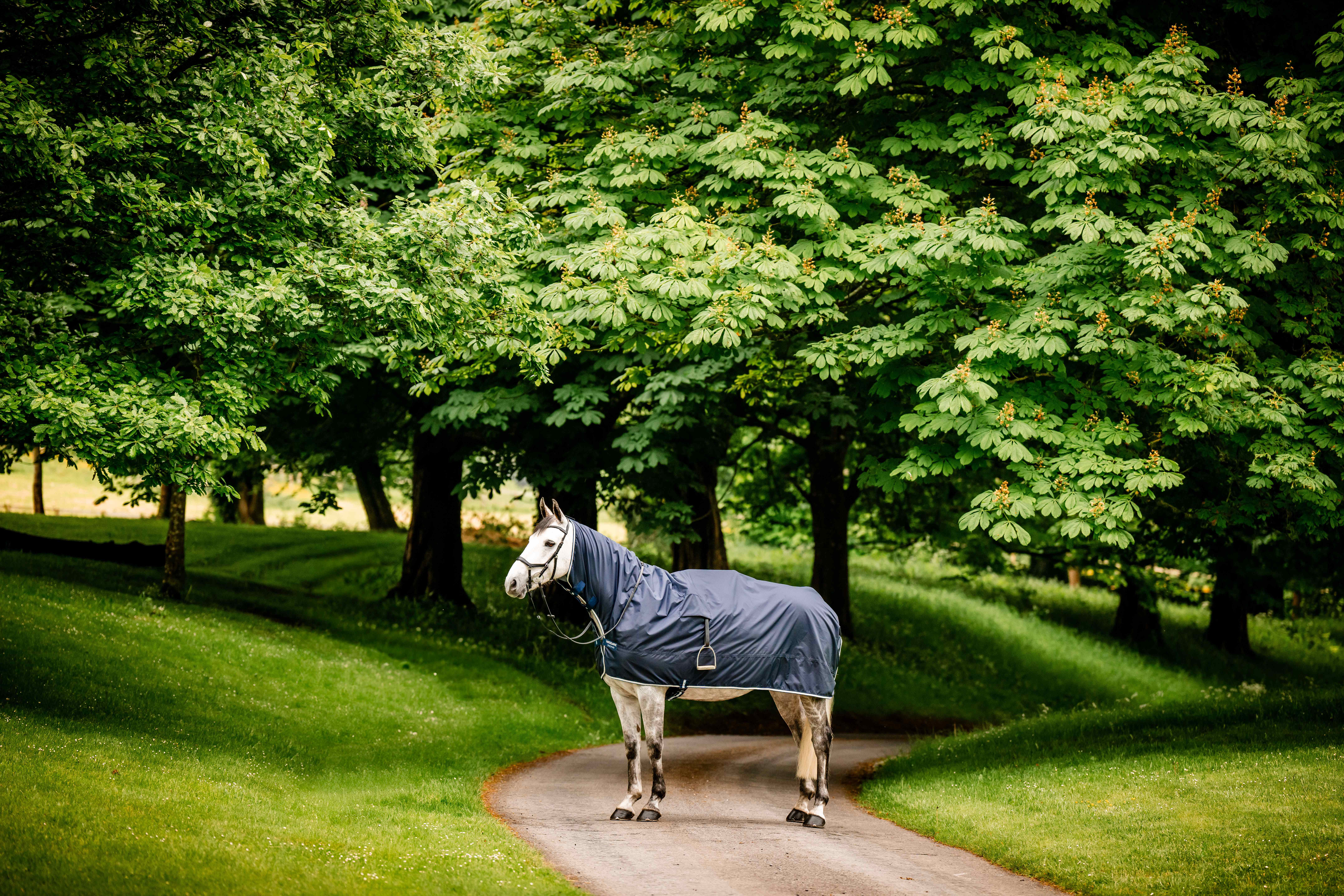 Capa de trabalho impermeável Horseware Newmarket Marine witney Azul-marinho