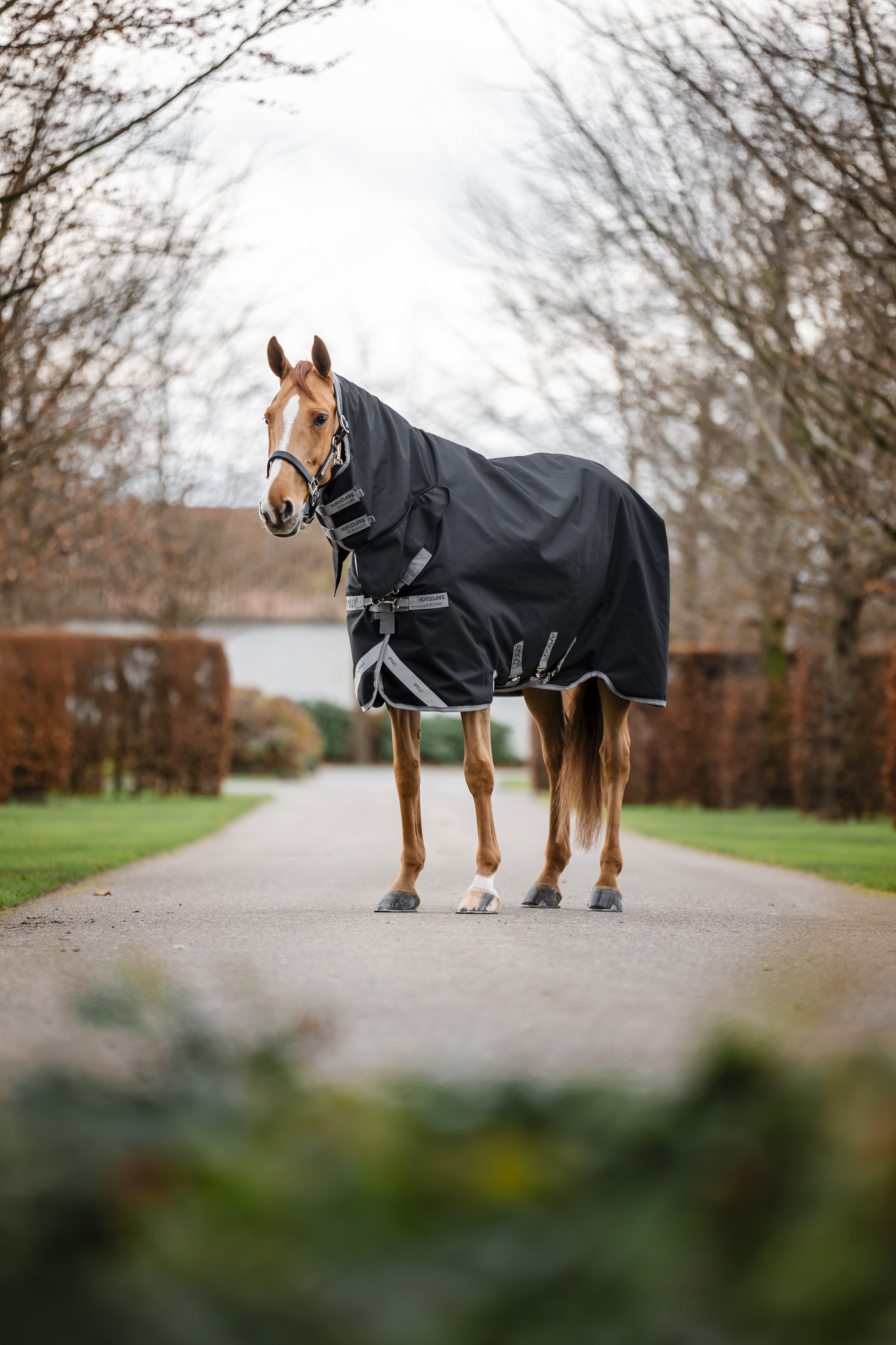 Capa Horseware Amigo 1200D Integrated Turnout 0g Preto / cinza titânio / prata