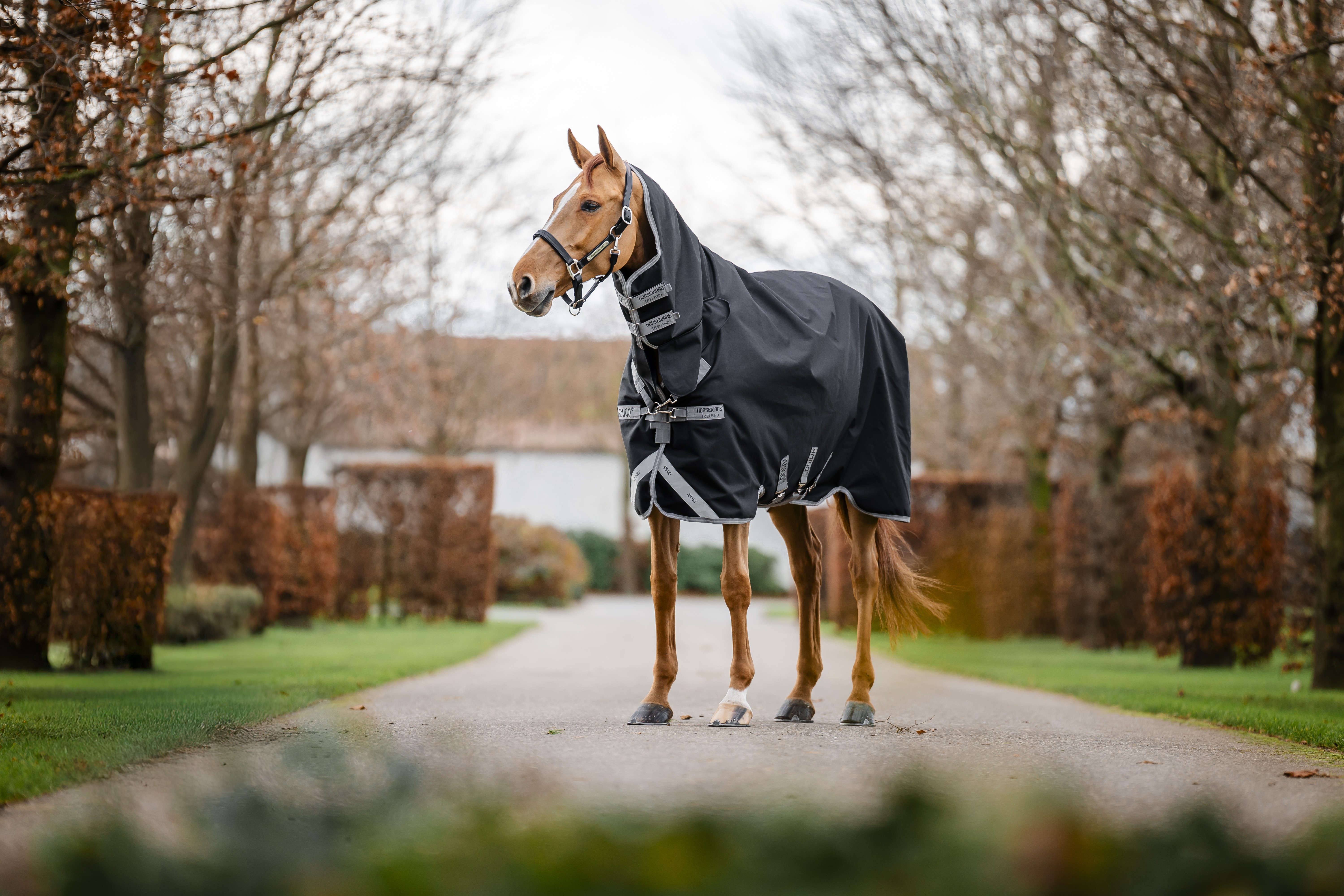Capa Horseware Amigo 1200D Integrated Turnout 0g Preto / cinza titânio / prata