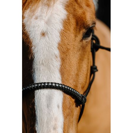 Cabresto etológico de nylon Norton Diams