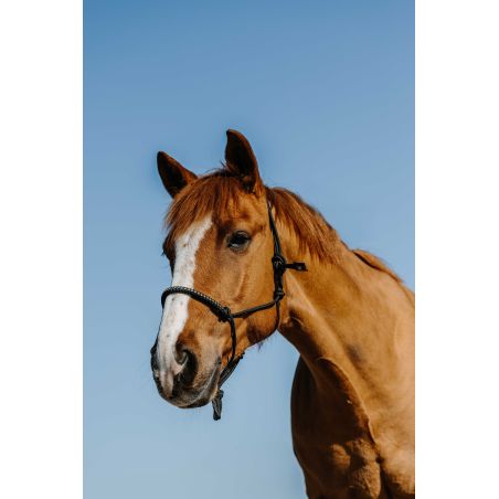 Cabresto etológico de nylon Norton Diams