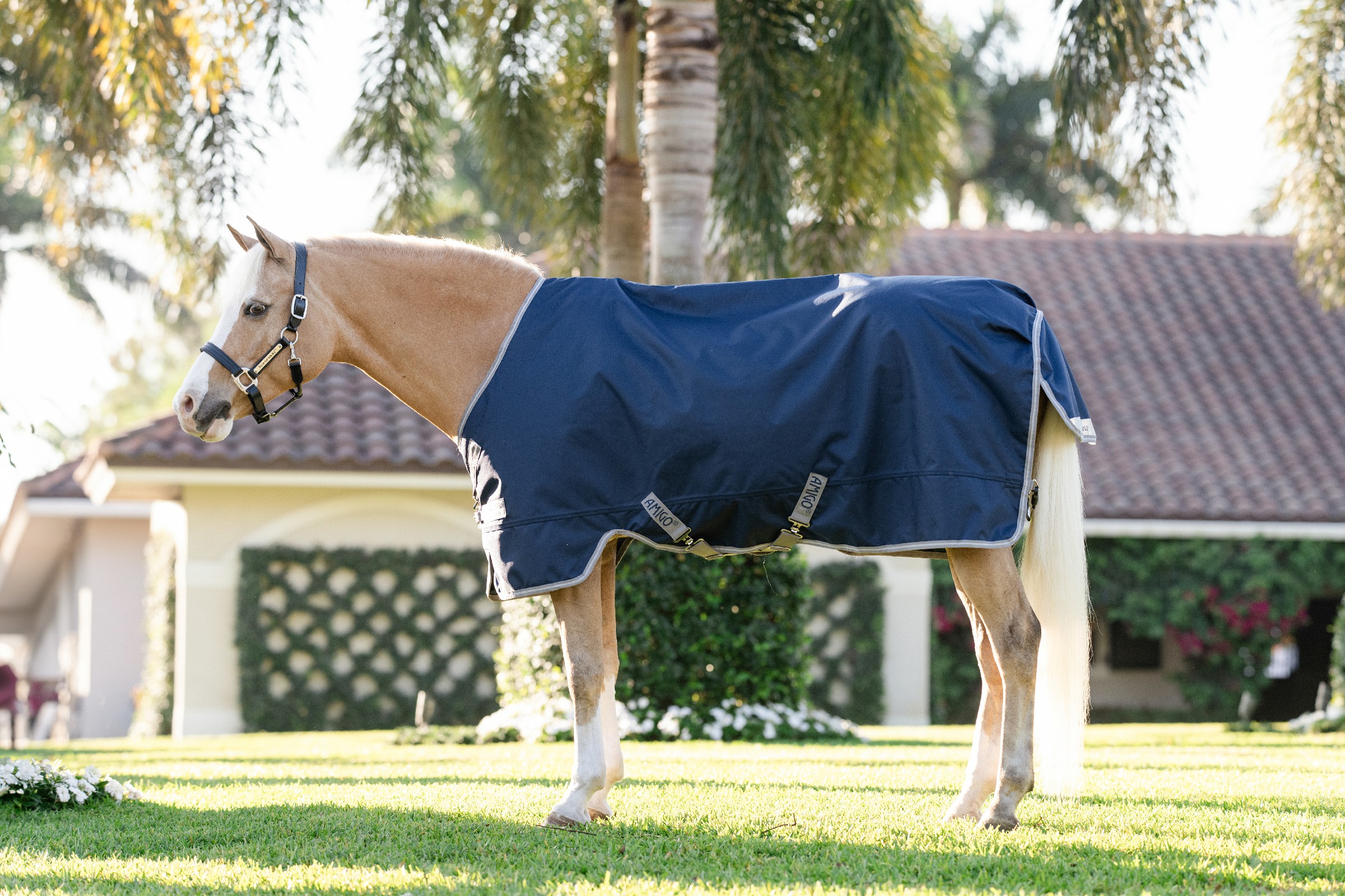 Capa Horseware Amigo 1200D Pônei Turnout 50g Marinho / cinza titânio / prata Azul-marinho