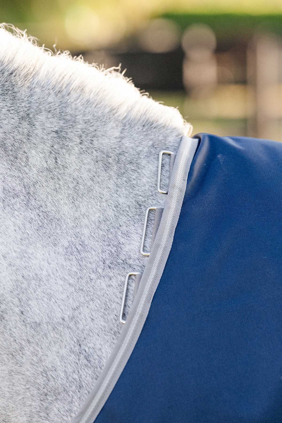 Capa Horseware Amigo 1200D Pônei Turnout 50g Marinho / cinza titânio / prata Azul-marinho