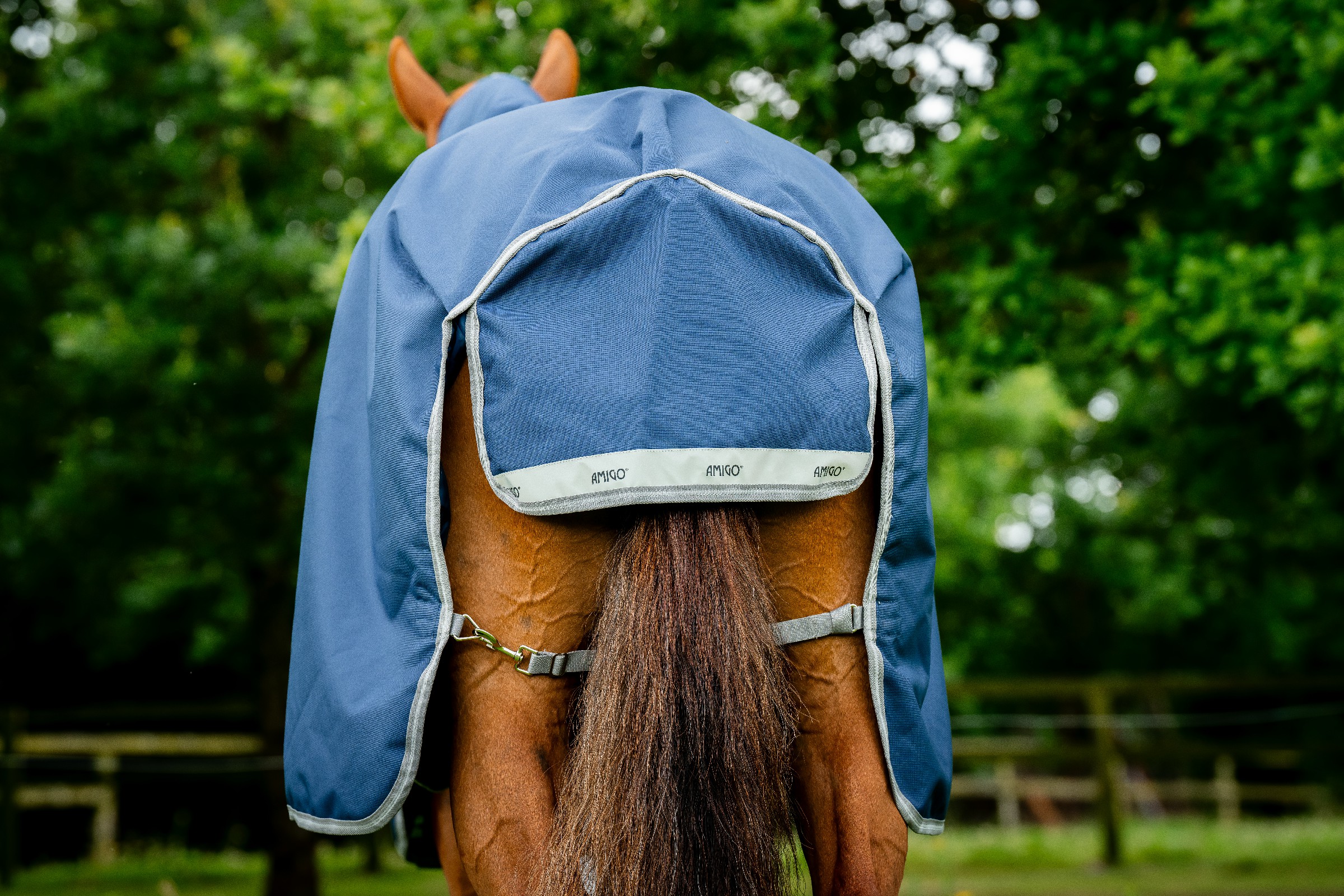 Capa Horseware Amigo 1200D Turnout 250g Marinho / cinza titânio / prata Azul-marinho