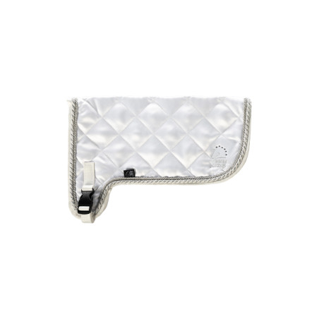 Cobertura do torneio HKM Hobby Horsing