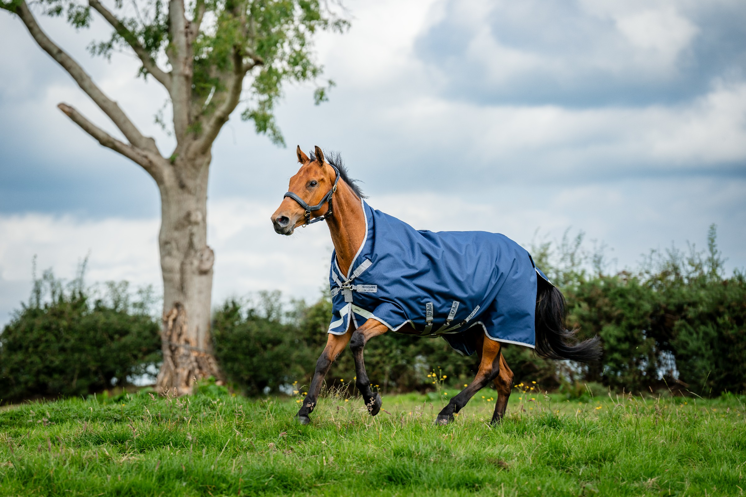 Capa Horseware Amigo 1200D Wug Turnout 50g Marinho / cinza titânio / prata Azul-marinho