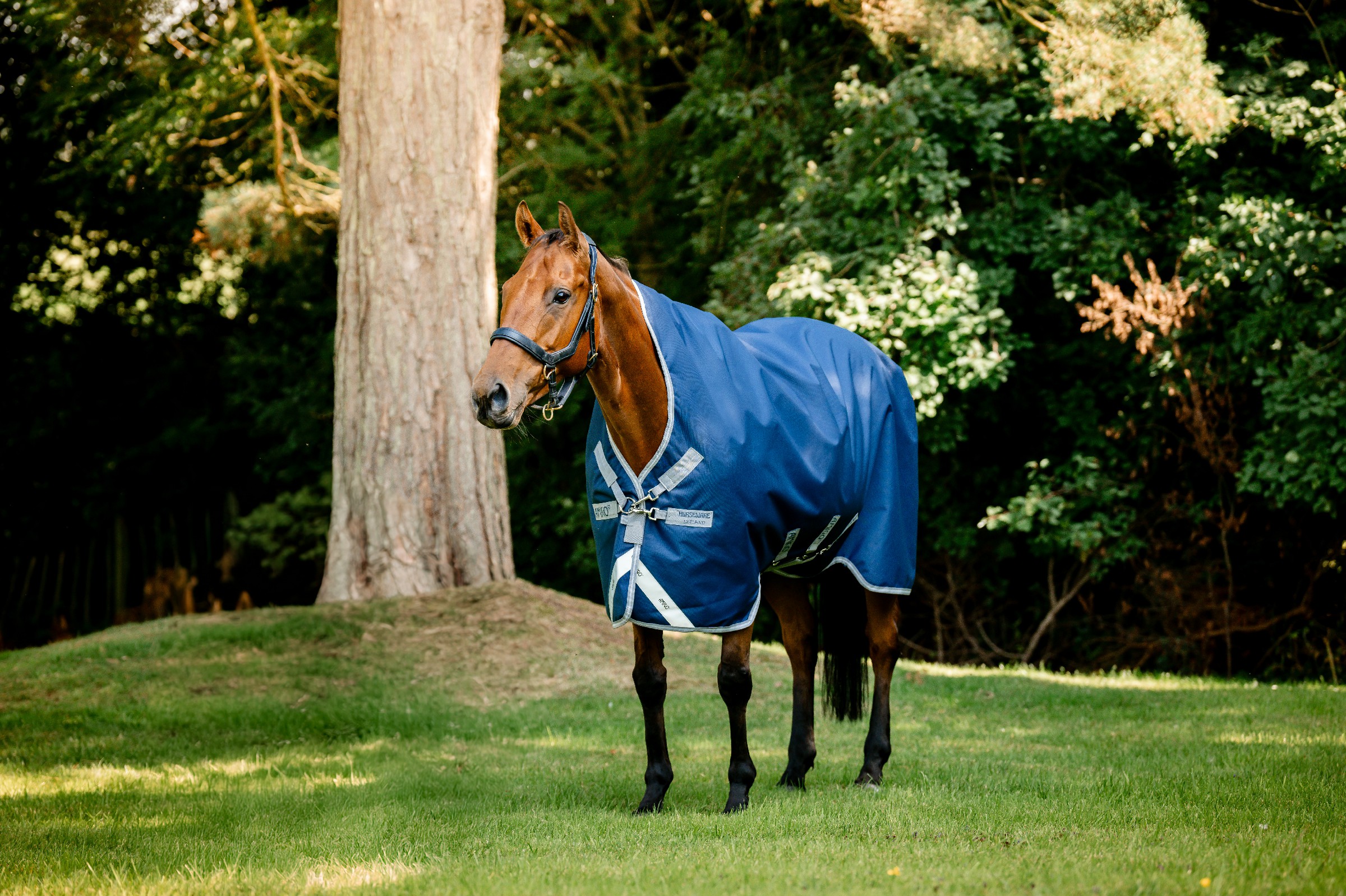 Capa Horseware Amigo 1200D Wug Turnout 50g Marinho / cinza titânio / prata Azul-marinho