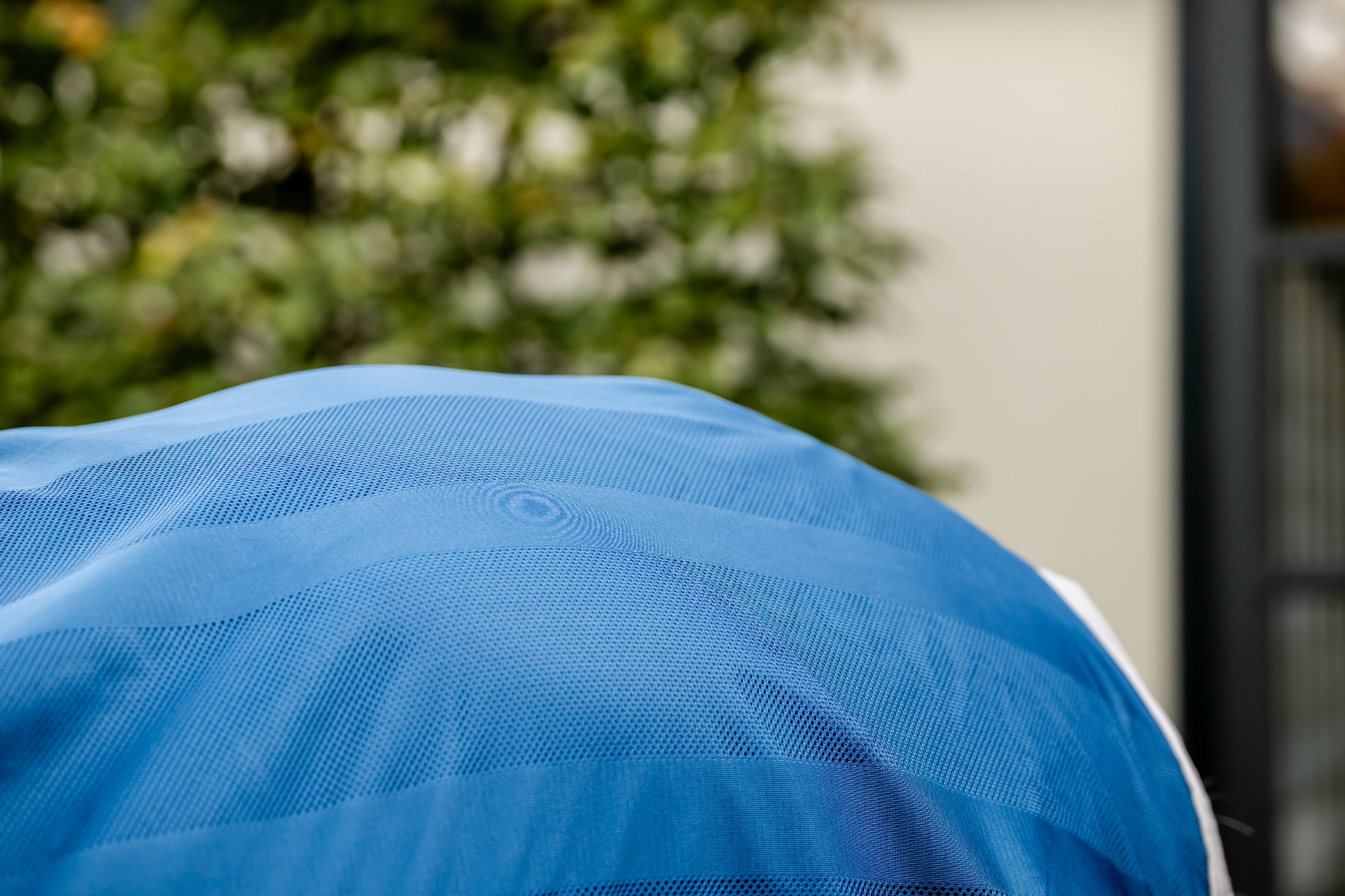 Capa Horseware Ionic Therapy Mesh Cooler Bleu imperial / argent /Marine Azul