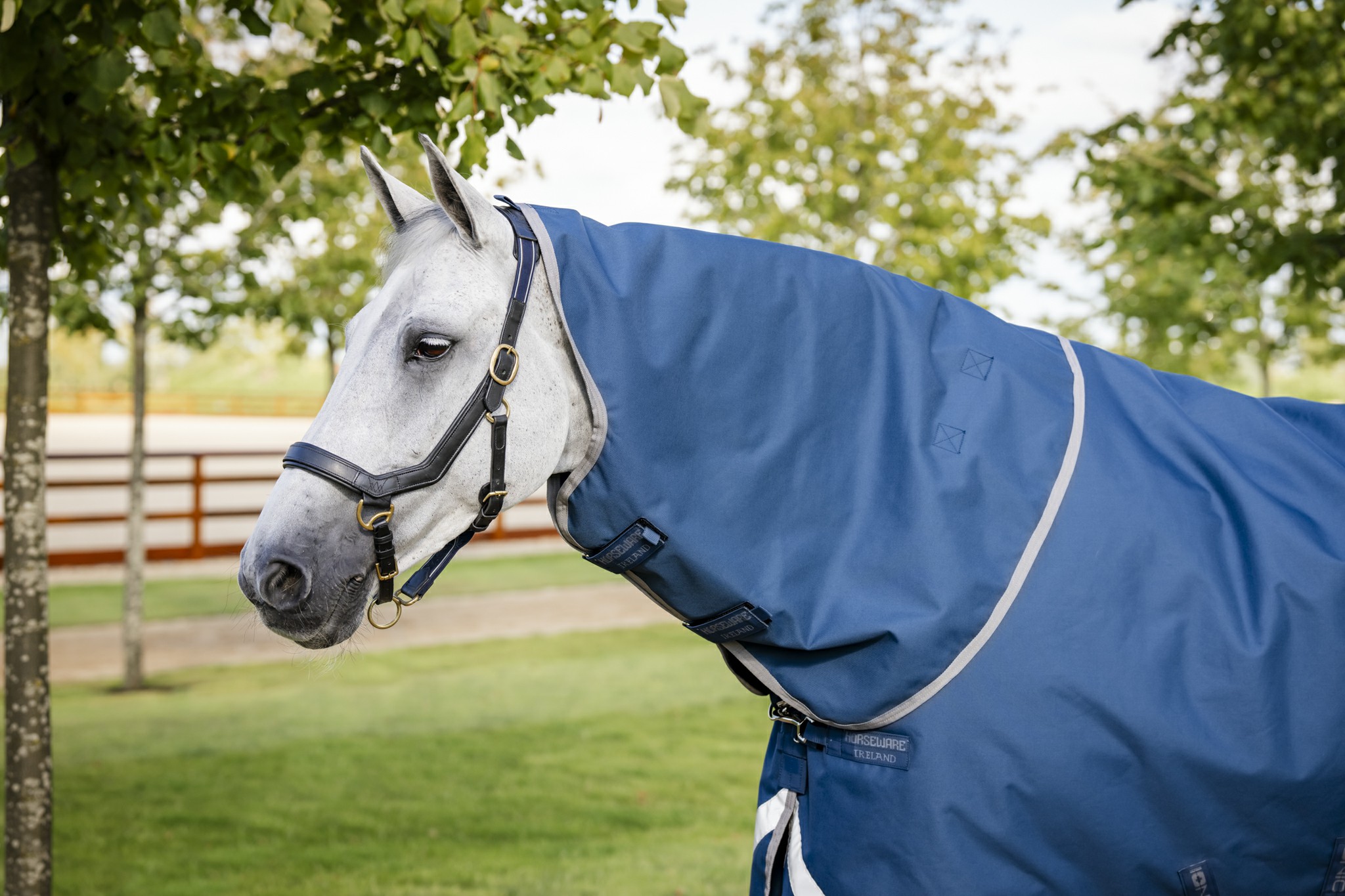 Capa Horseware Ionic Therapy Turnout 100g Bleu imperial / argent /Marine Azul