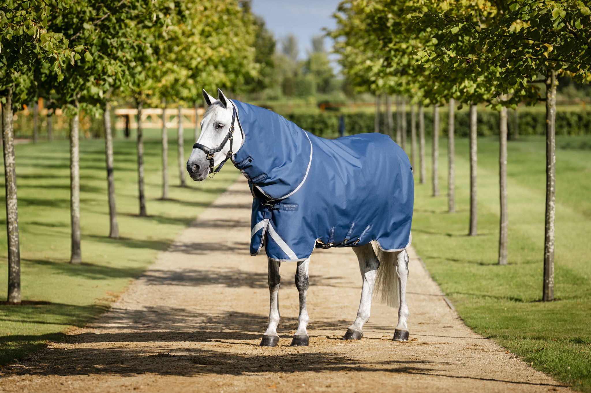 Capa Horseware Ionic Therapy Turnout 100g Bleu imperial / argent /Marine Azul