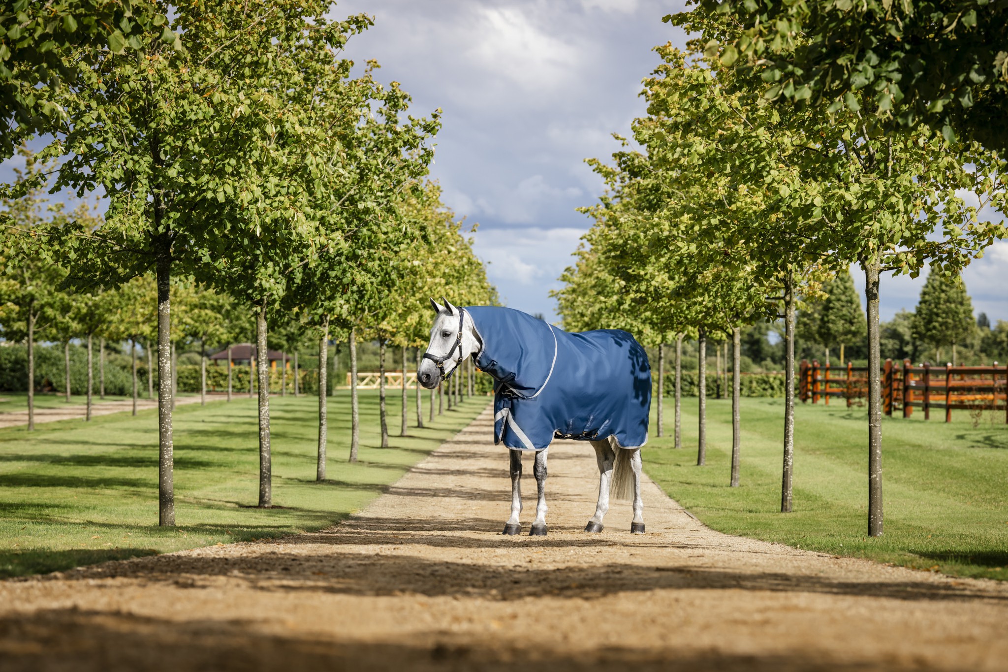 Capa Horseware Ionic Therapy Turnout 100g Bleu imperial / argent /Marine Azul