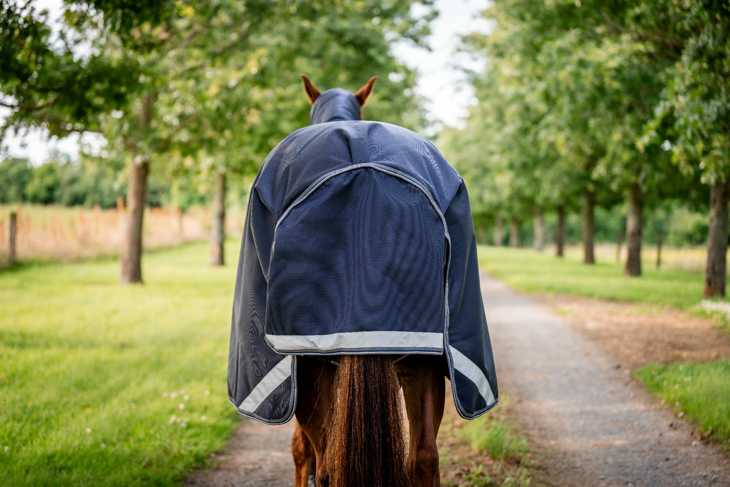 Capa Horseware Rambo 1680D Turnout 100g Marinho / tempestade / cinza prateado Azul-marinho