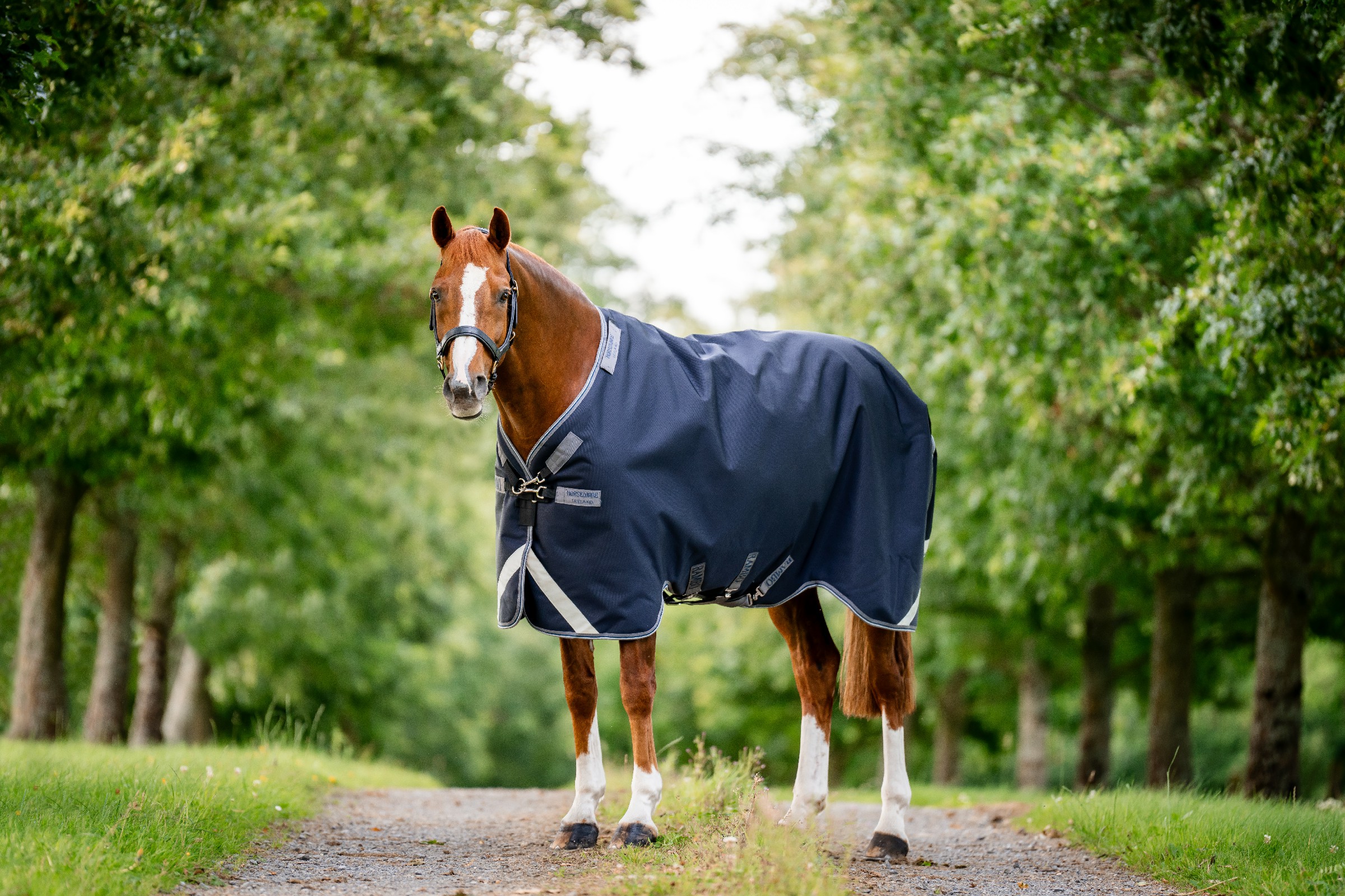 Capa Horseware Rambo 1680D Turnout 450g VL Marinho / tempestade / cinza prateado Azul-marinho