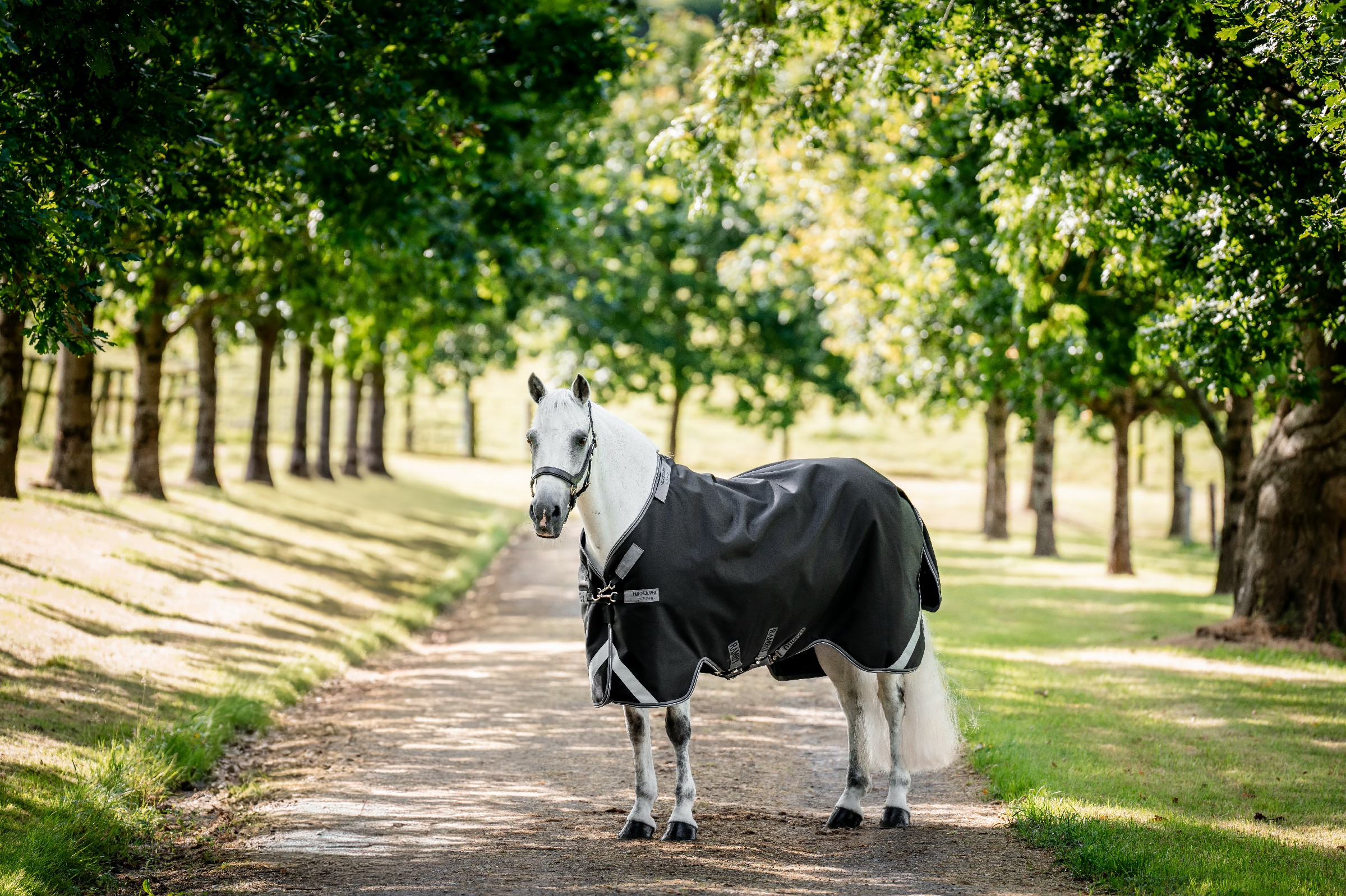 Capa Horseware Rambo 1680D Turnout 50g Preto / tempestade / cinza prateado