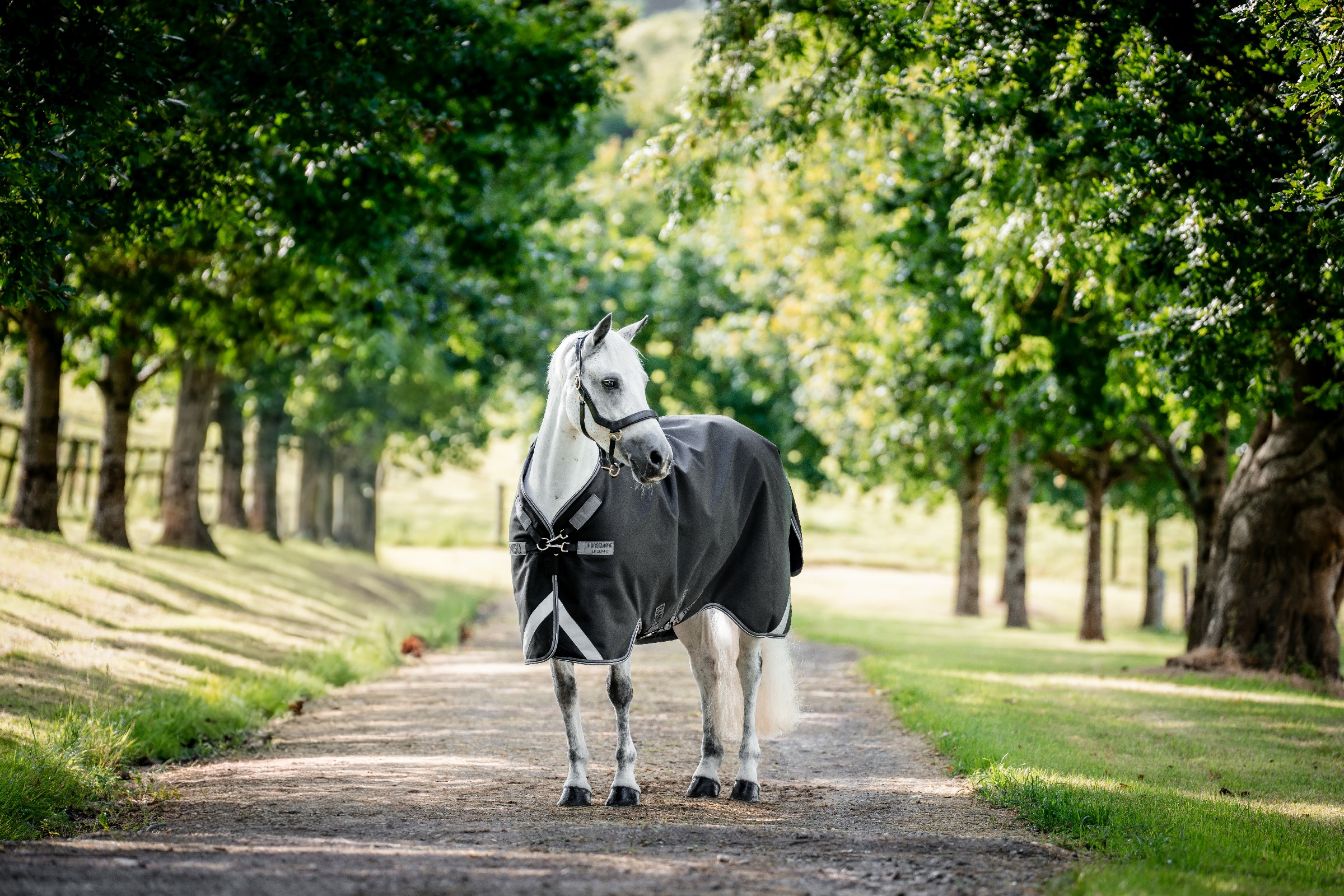 Capa Horseware Rambo 1680D Turnout 50g Preto / tempestade / cinza prateado Capa Horseware Rambo 1680D Turnout 50g Preto / tempestade / cinza prateado