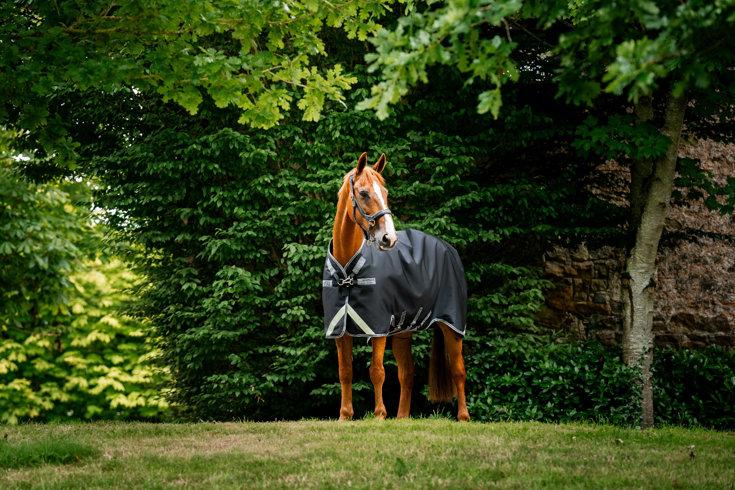Capa Horseware Rambo 1680D Turnout 50g Preto / tempestade / cinza prateado Capa Horseware Rambo 1680D Turnout 50g Preto / tempestade / cinza prateado