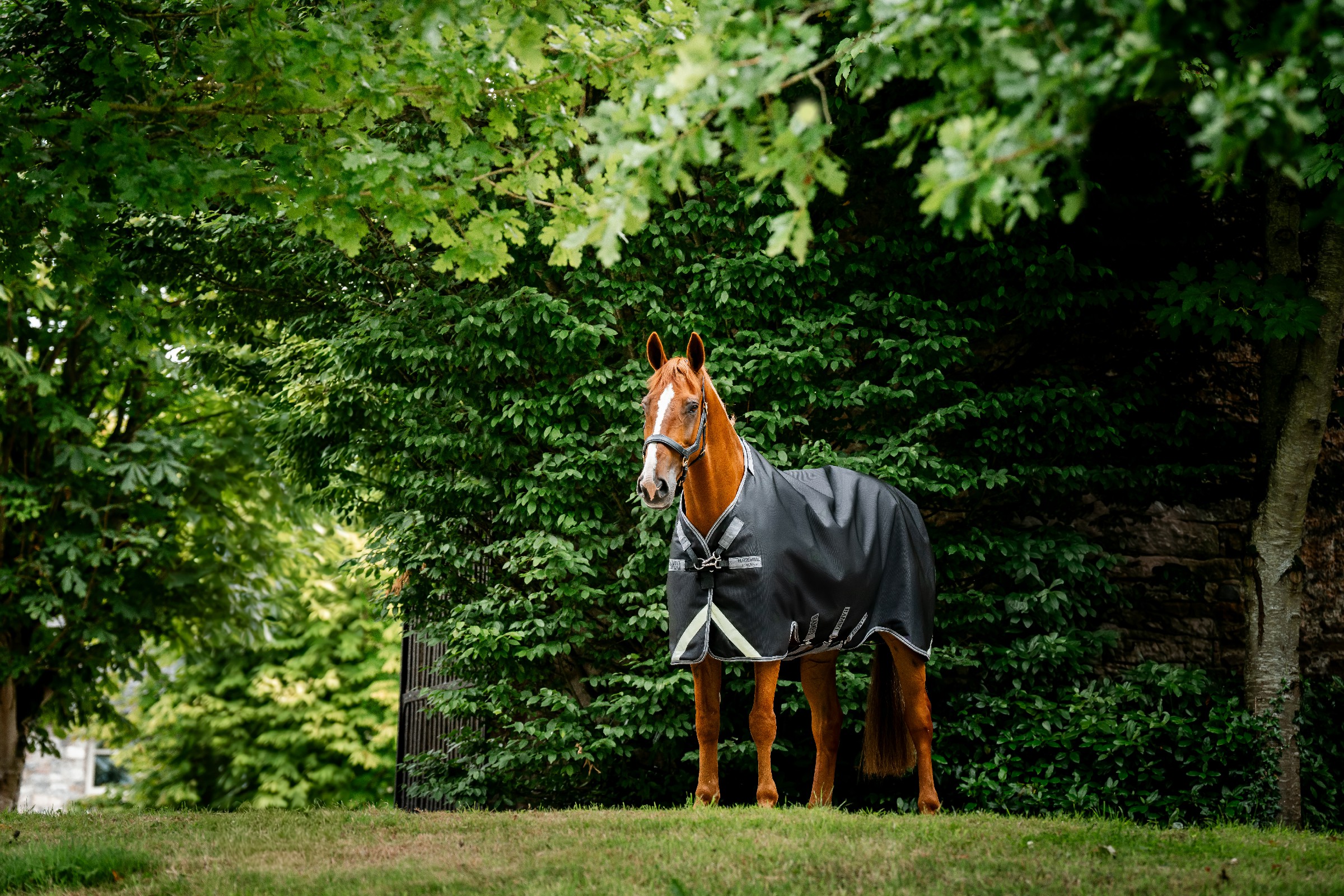 Capa Horseware Rambo 1680D Turnout 50g Preto / tempestade / cinza prateado Capa Horseware Rambo 1680D Turnout 50g Preto / tempestade / cinza prateado