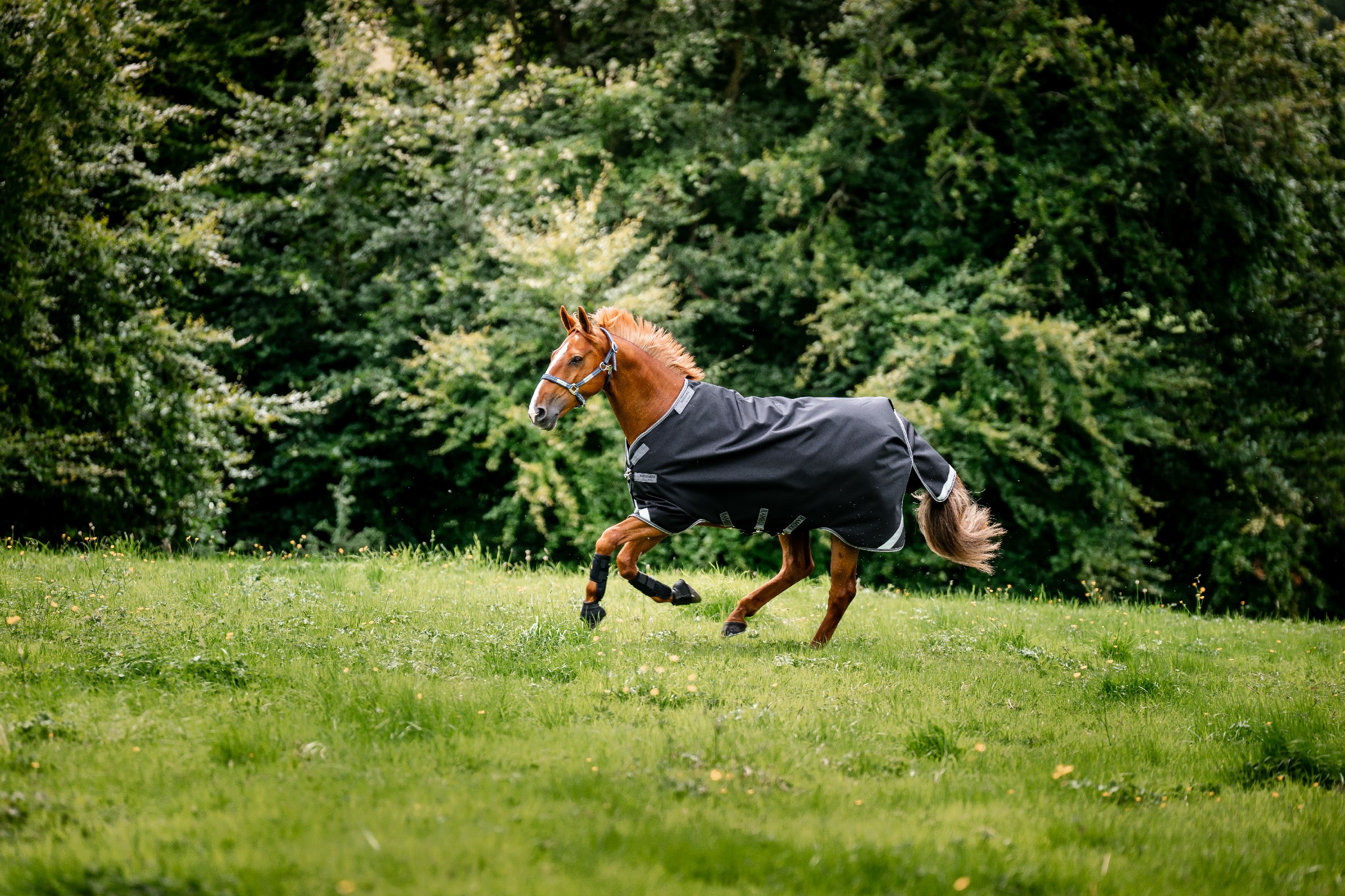 Capa Horseware Rambo 1680D Turnout 50g Preto / tempestade / cinza prateado Capa Horseware Rambo 1680D Turnout 50g Preto / tempestade / cinza prateado