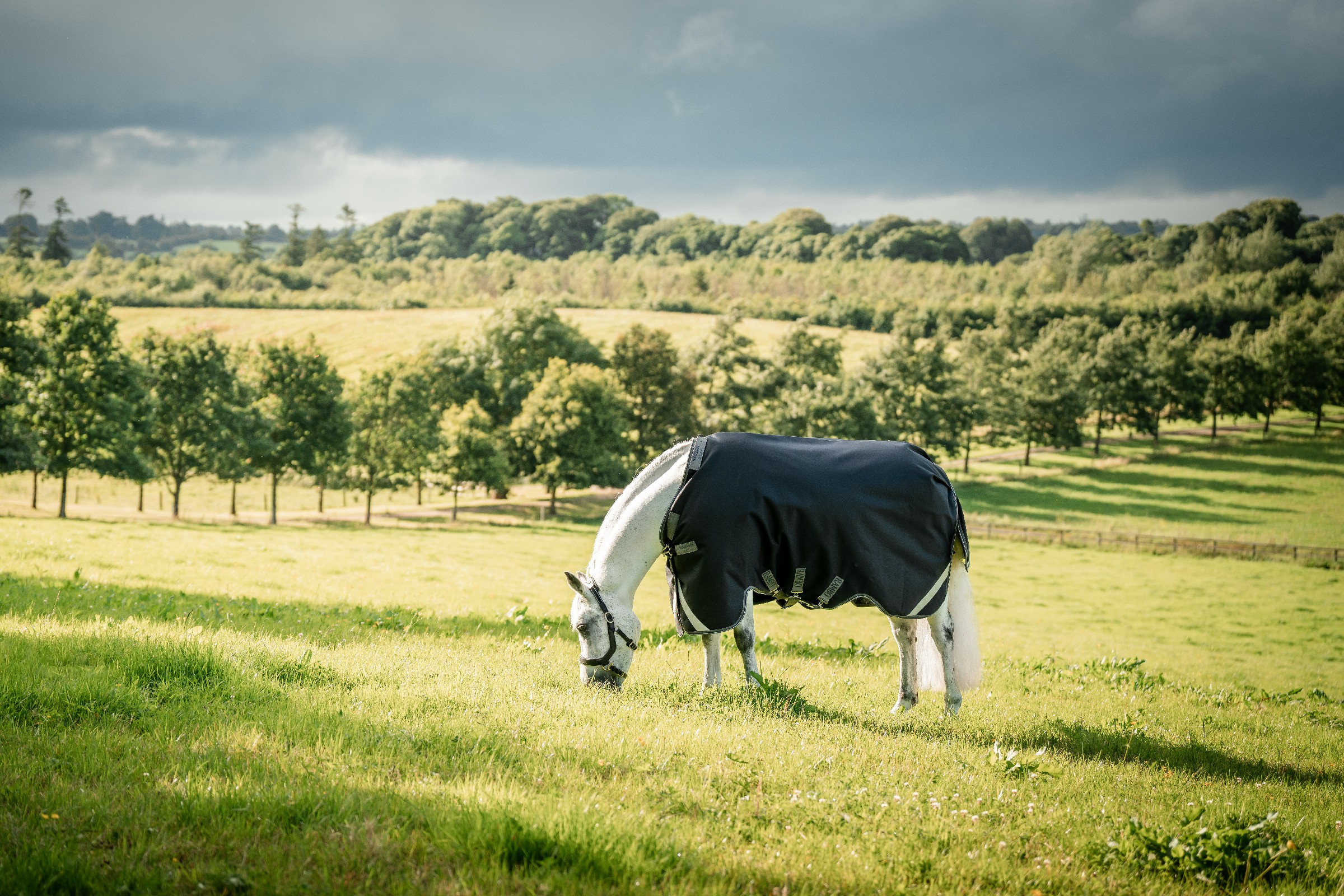 Capa Horseware Rambo 1680D Turnout 50g Preto / tempestade / cinza prateado Capa Horseware Rambo 1680D Turnout 50g Preto / tempestade / cinza prateado